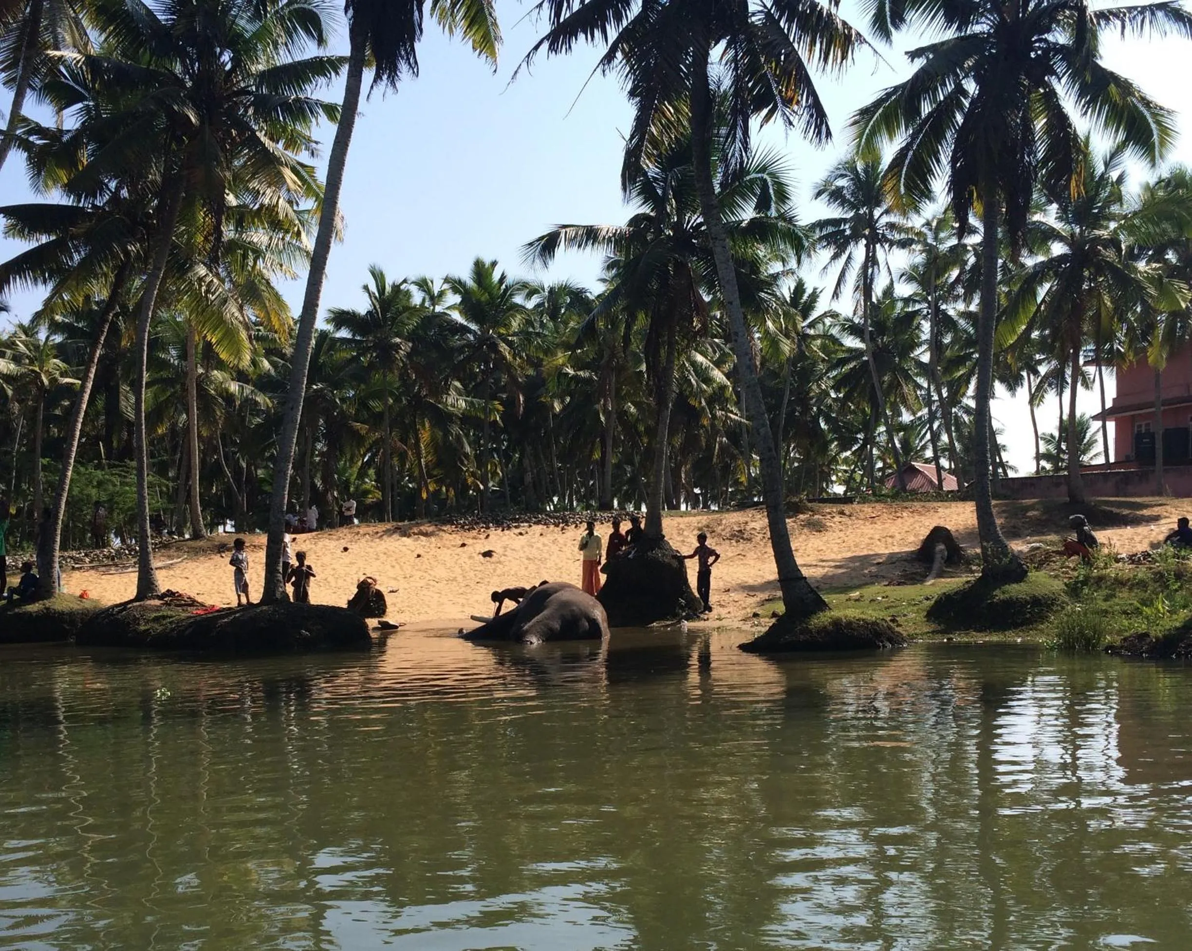 Activities in Mad about Coco Yoga & Beach Retreat