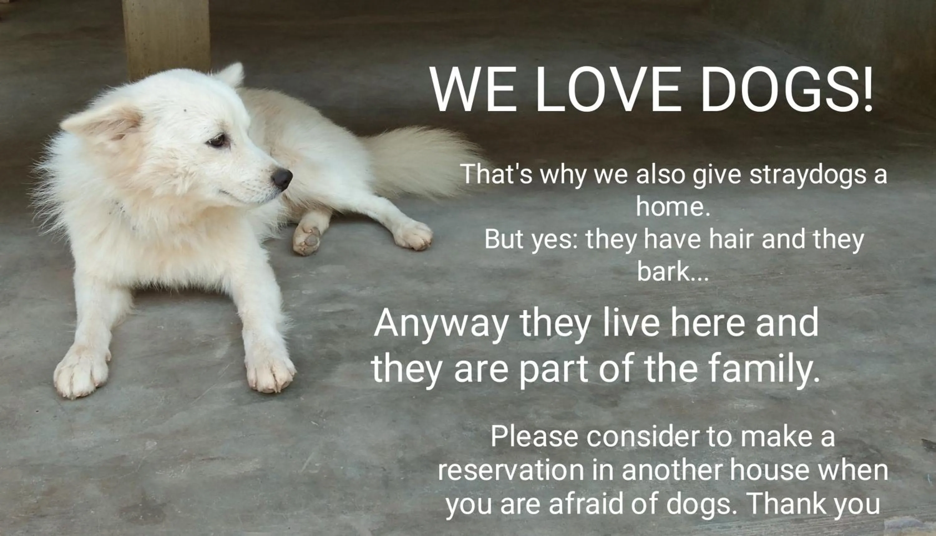 Animals in Mad about Coco Yoga & Beach Retreat