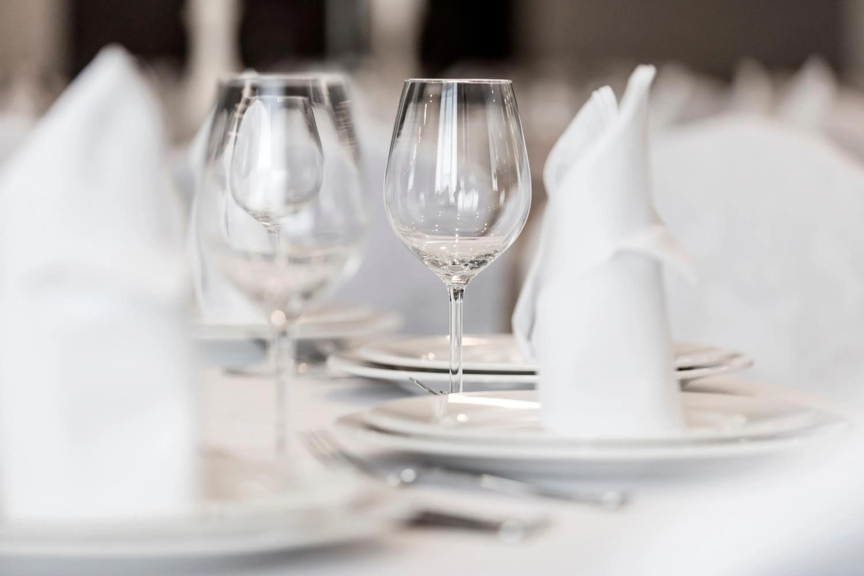 Banquet/Function facilities in ibis Styles Nowy Sacz