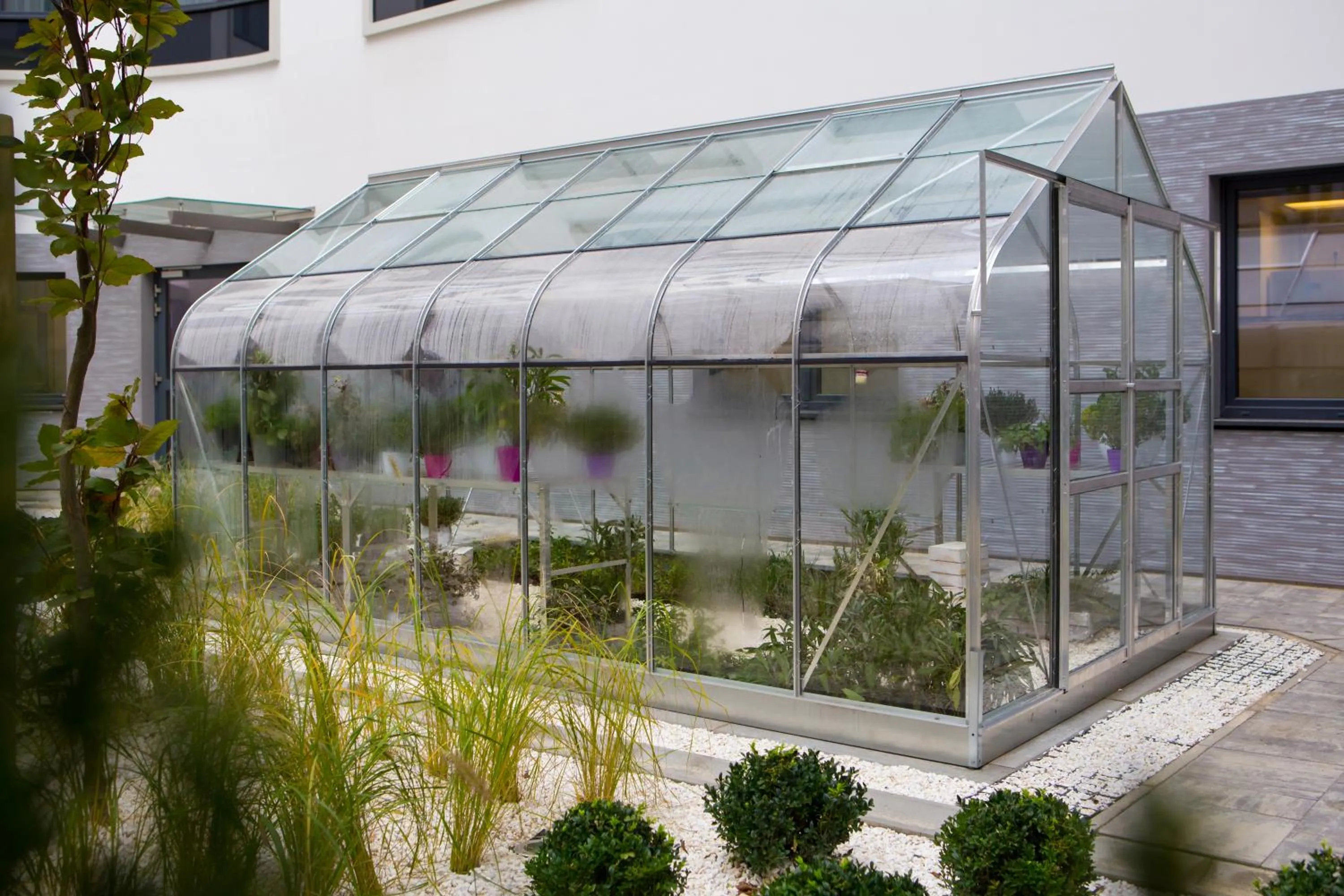 Area and facilities in Mercure Krakow Stare Miasto