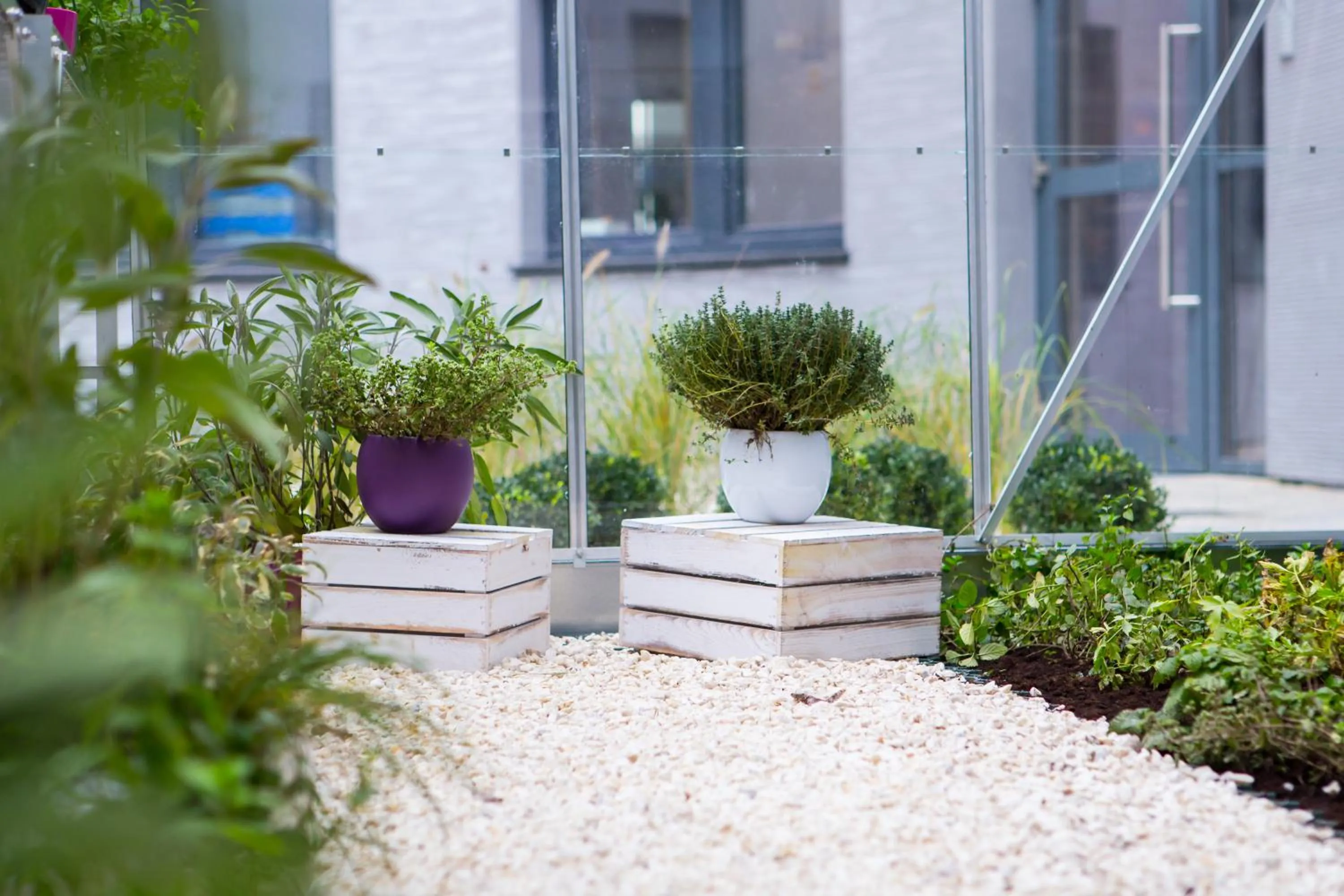 Area and facilities in Mercure Krakow Stare Miasto