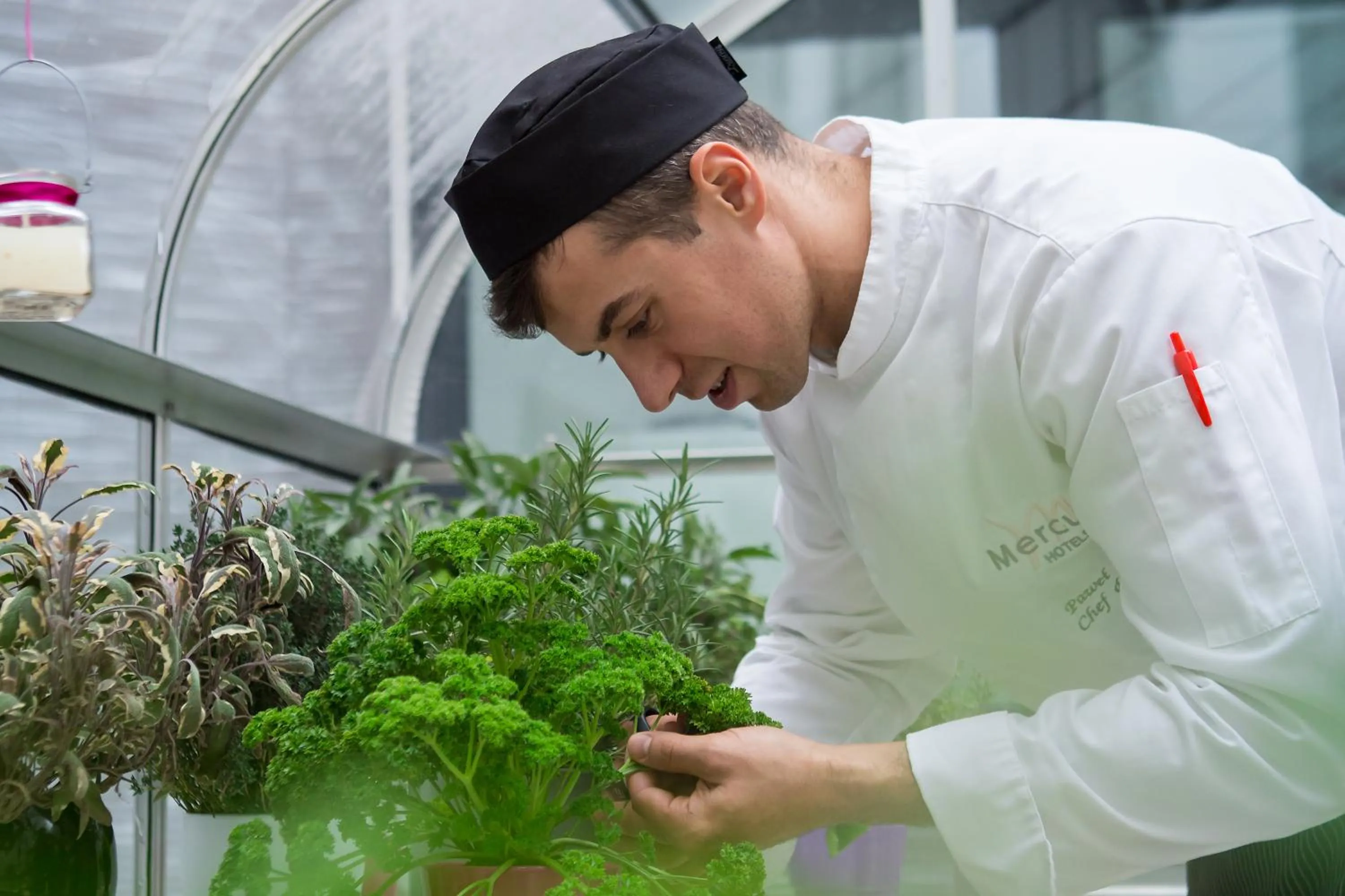 Area and facilities in Mercure Krakow Stare Miasto