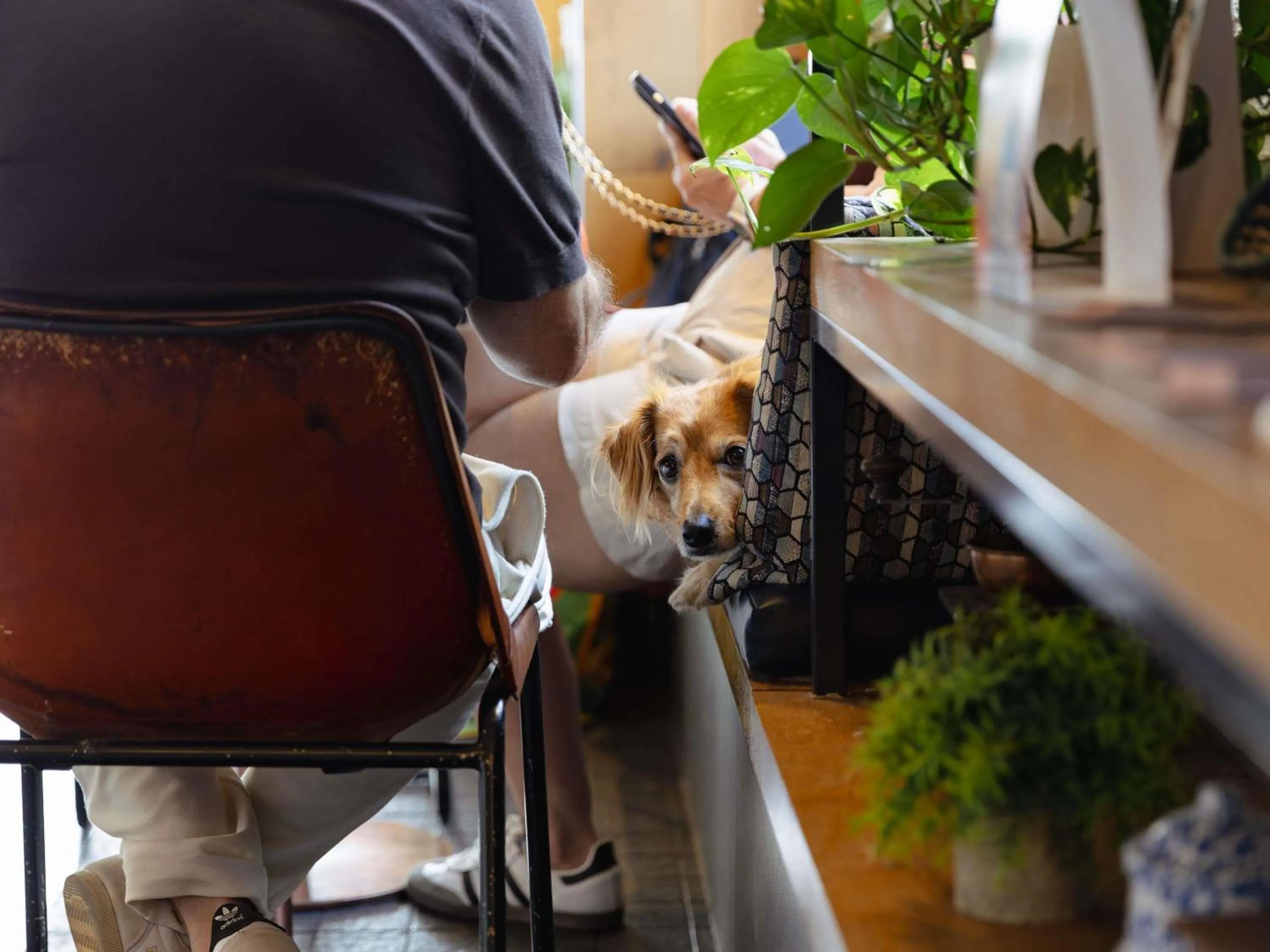 Restaurant/places to eat in ibis Cambridge Central Station