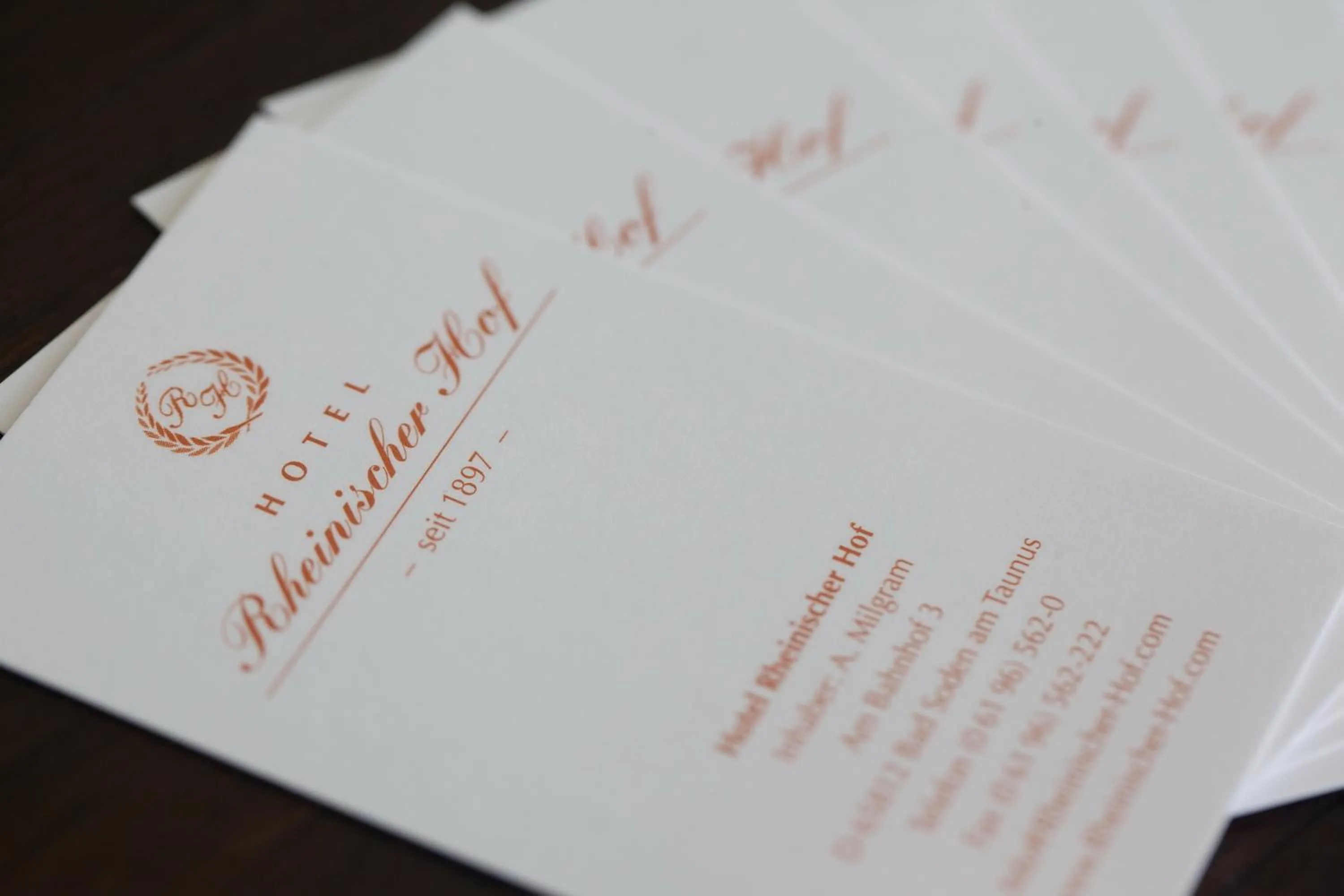 Property logo or sign in Hotel Rheinischer Hof Bad Soden