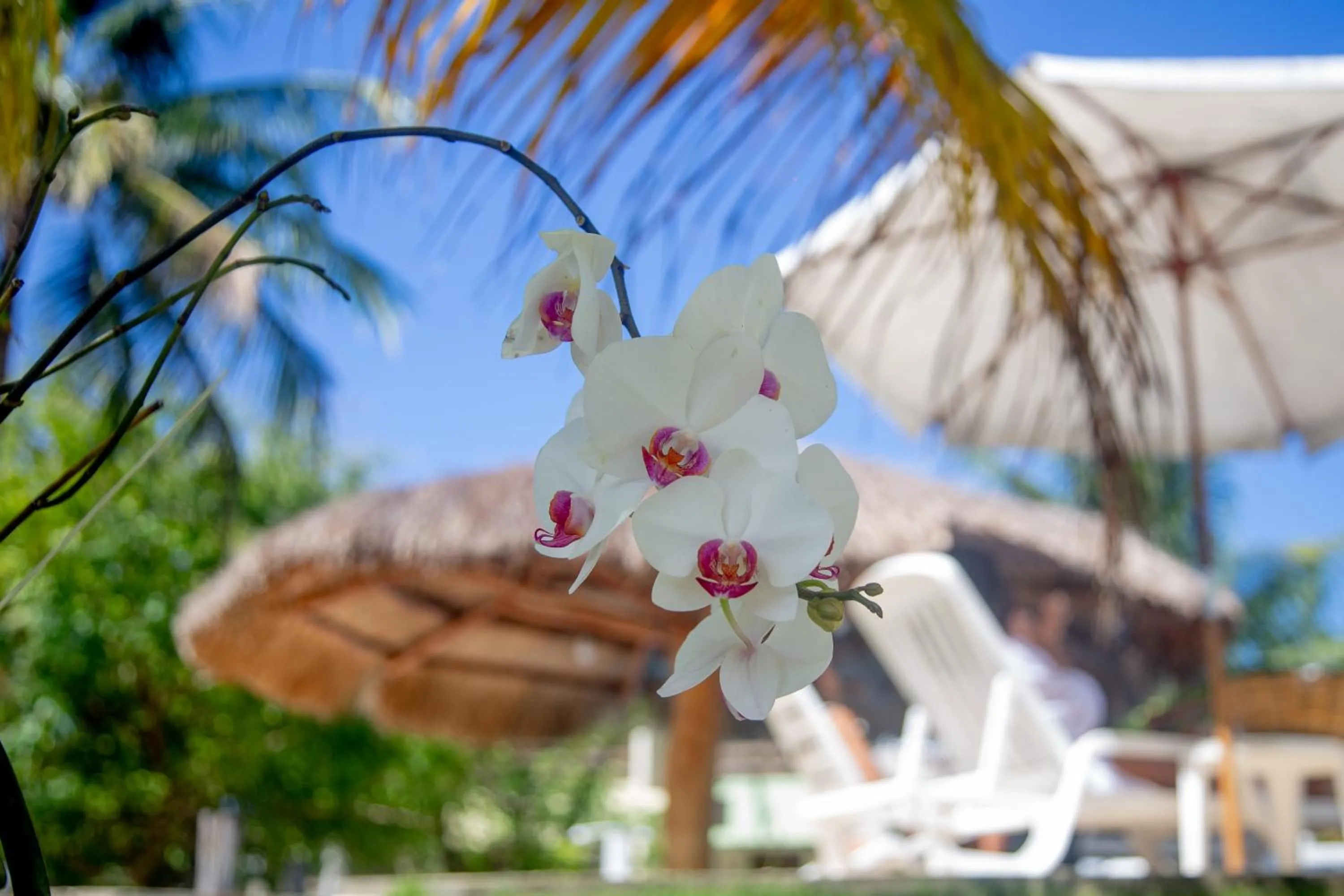 Recanto Caiçara Pousada