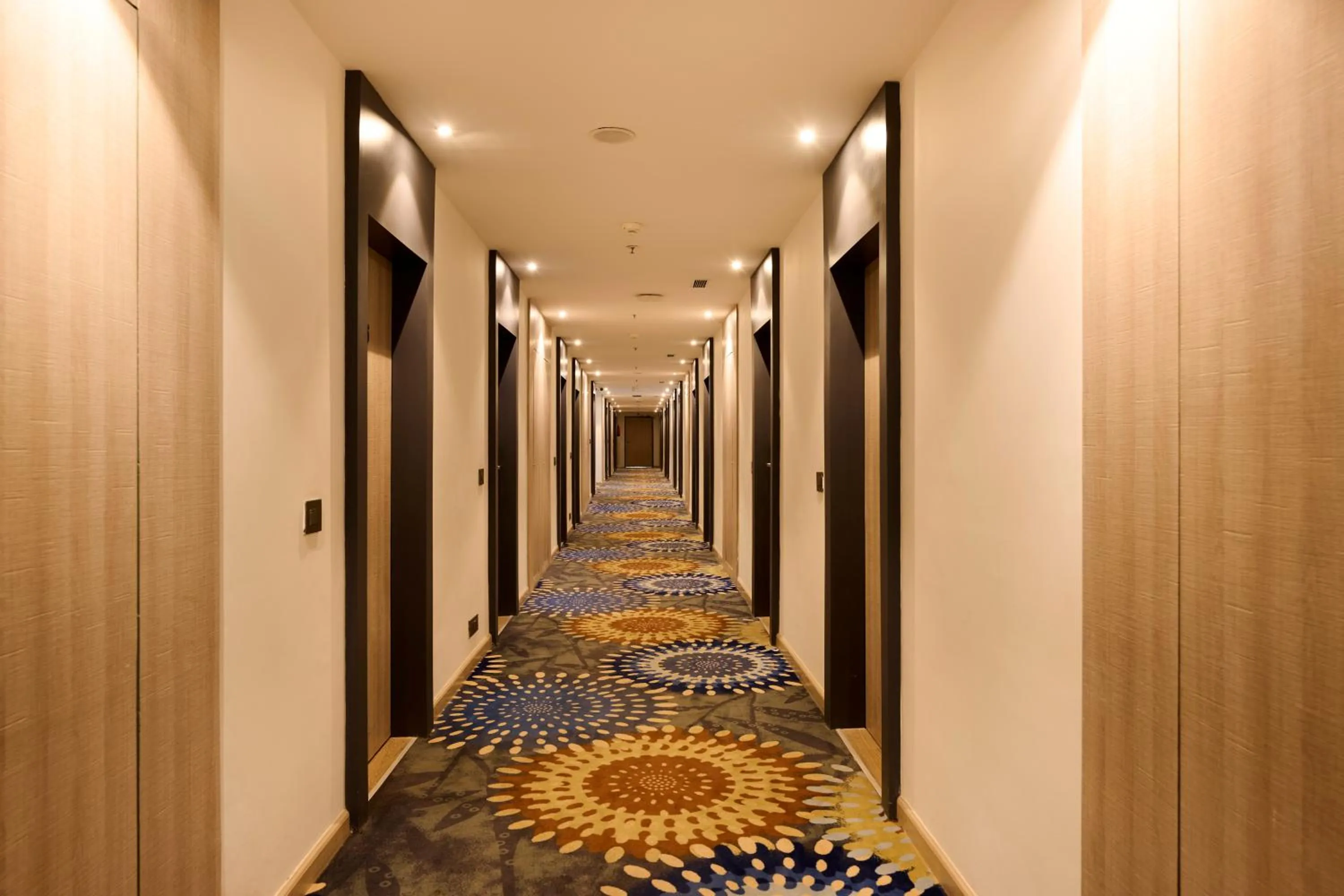 Area and facilities in Delite Sarovar Portico Faridabad