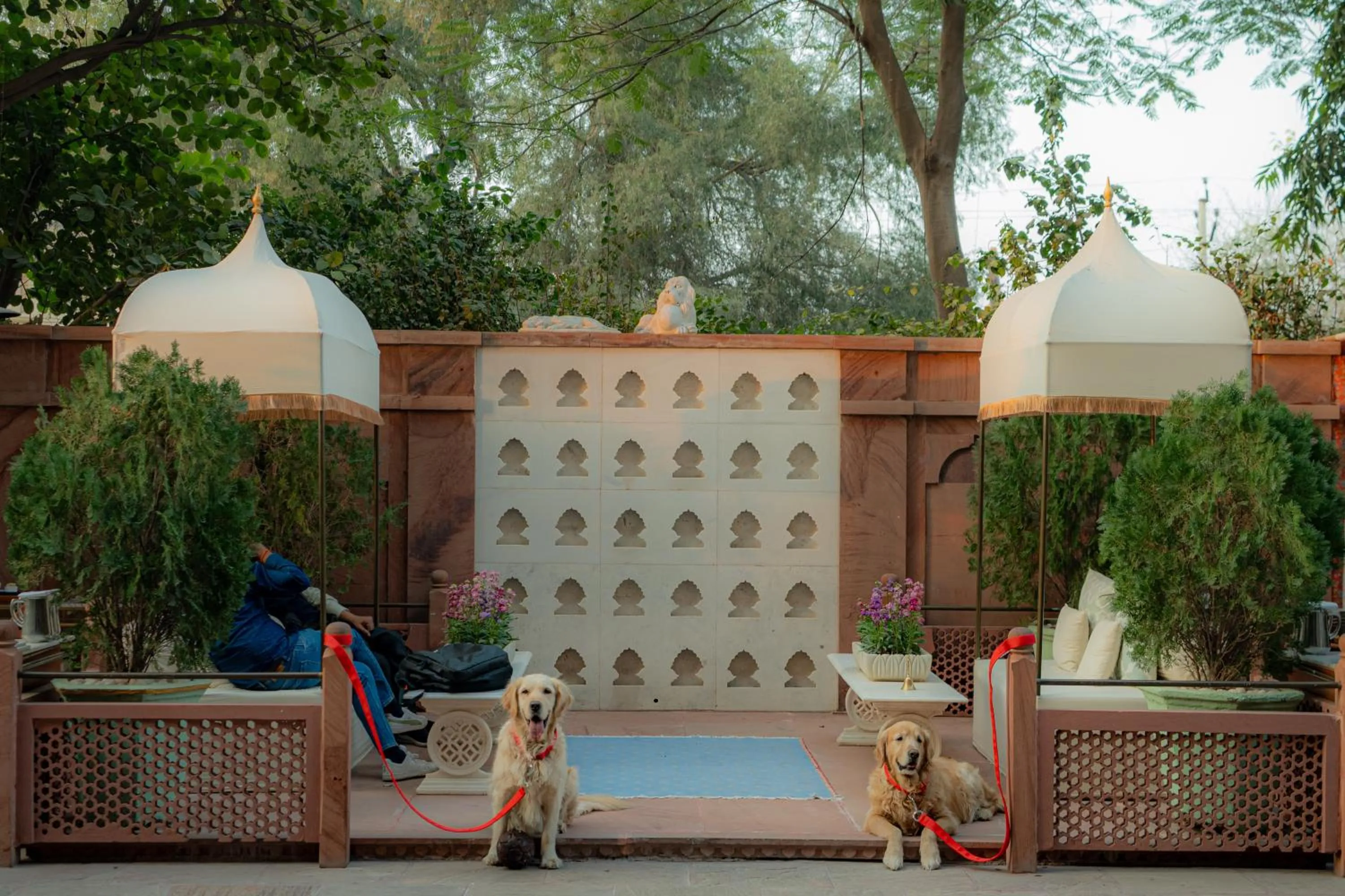 Restaurant/places to eat in Narendra Bhawan