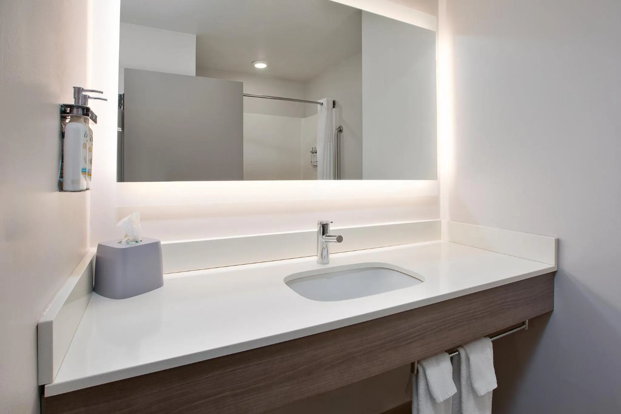 Bathroom in Holiday Inn Express Hotel & Suites Grand Rapids-North by IHG