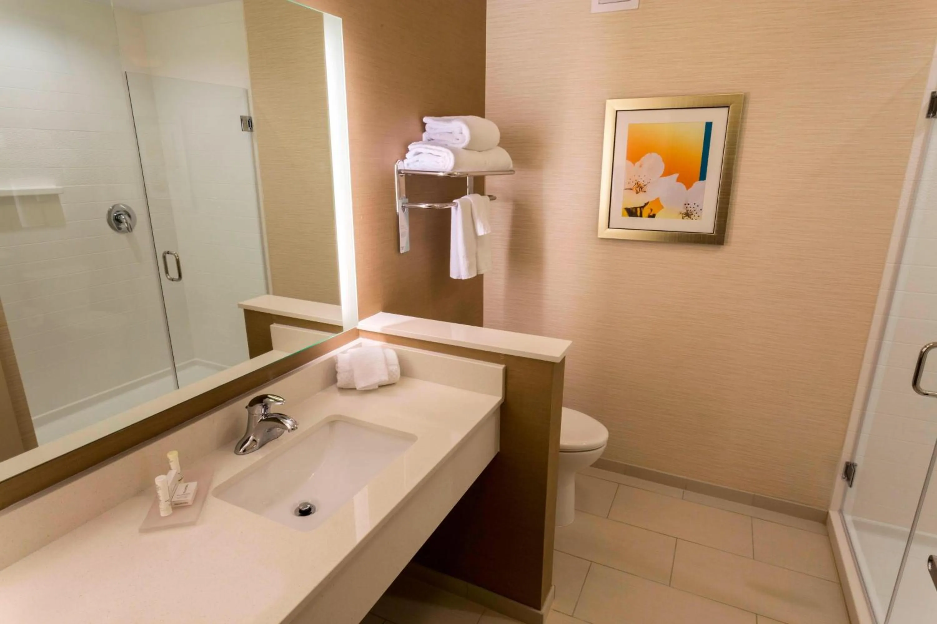 Bathroom in Fairfield Inn & Suites by Marriott Geneva Finger Lakes
