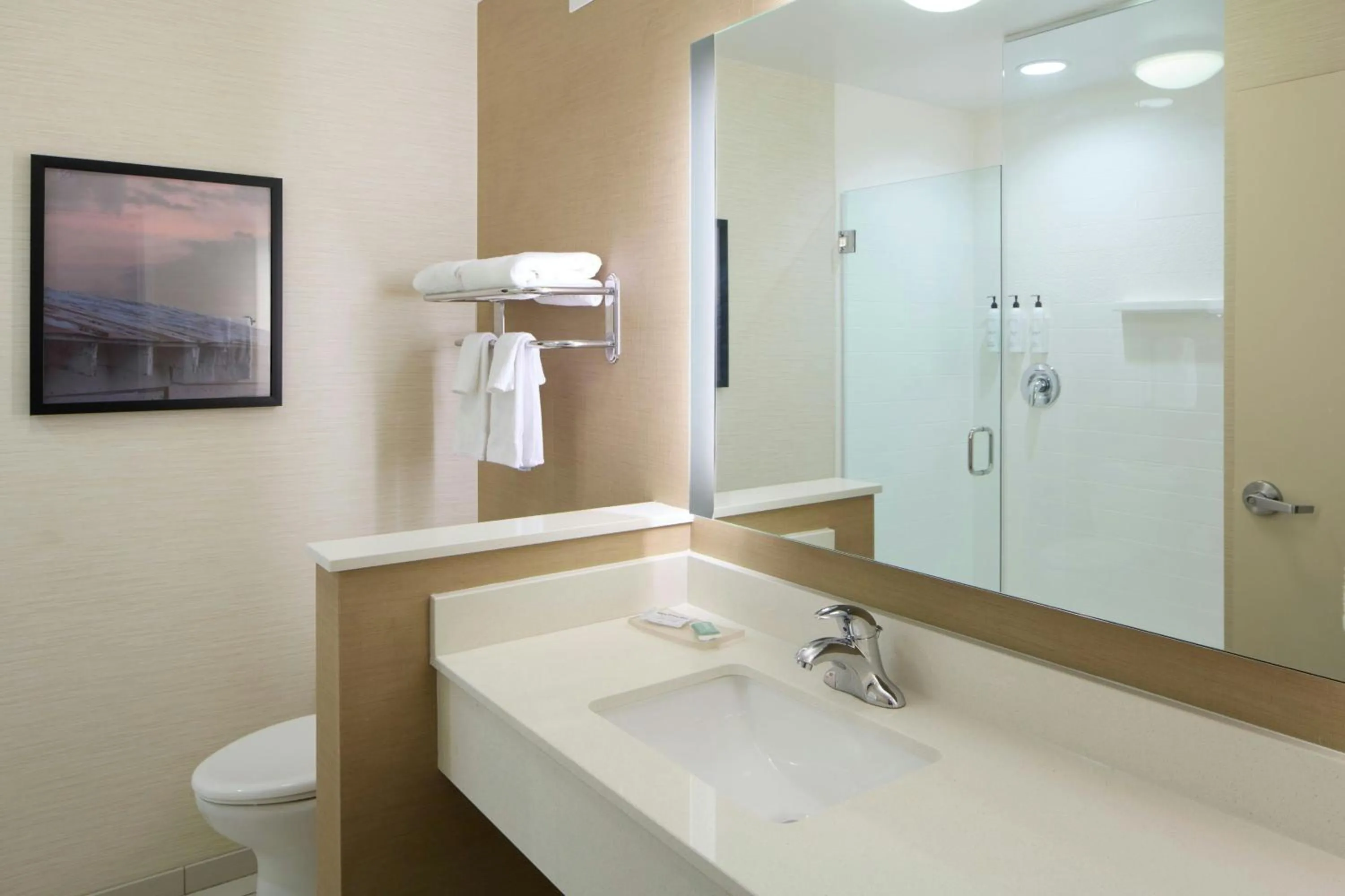 Bathroom in Fairfield Inn & Suites by Marriott Geneva Finger Lakes