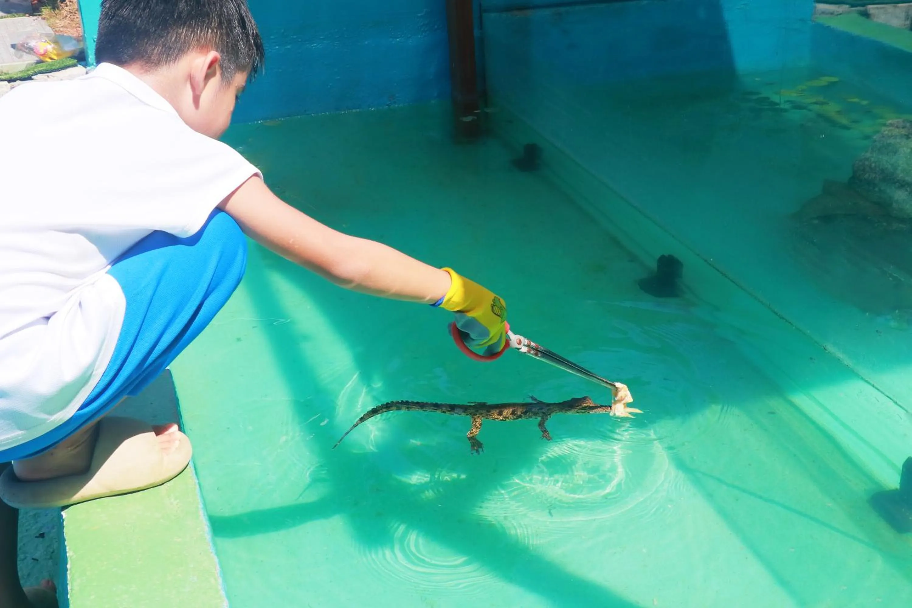 Activities in Marriott Resort Xiangshui Bay