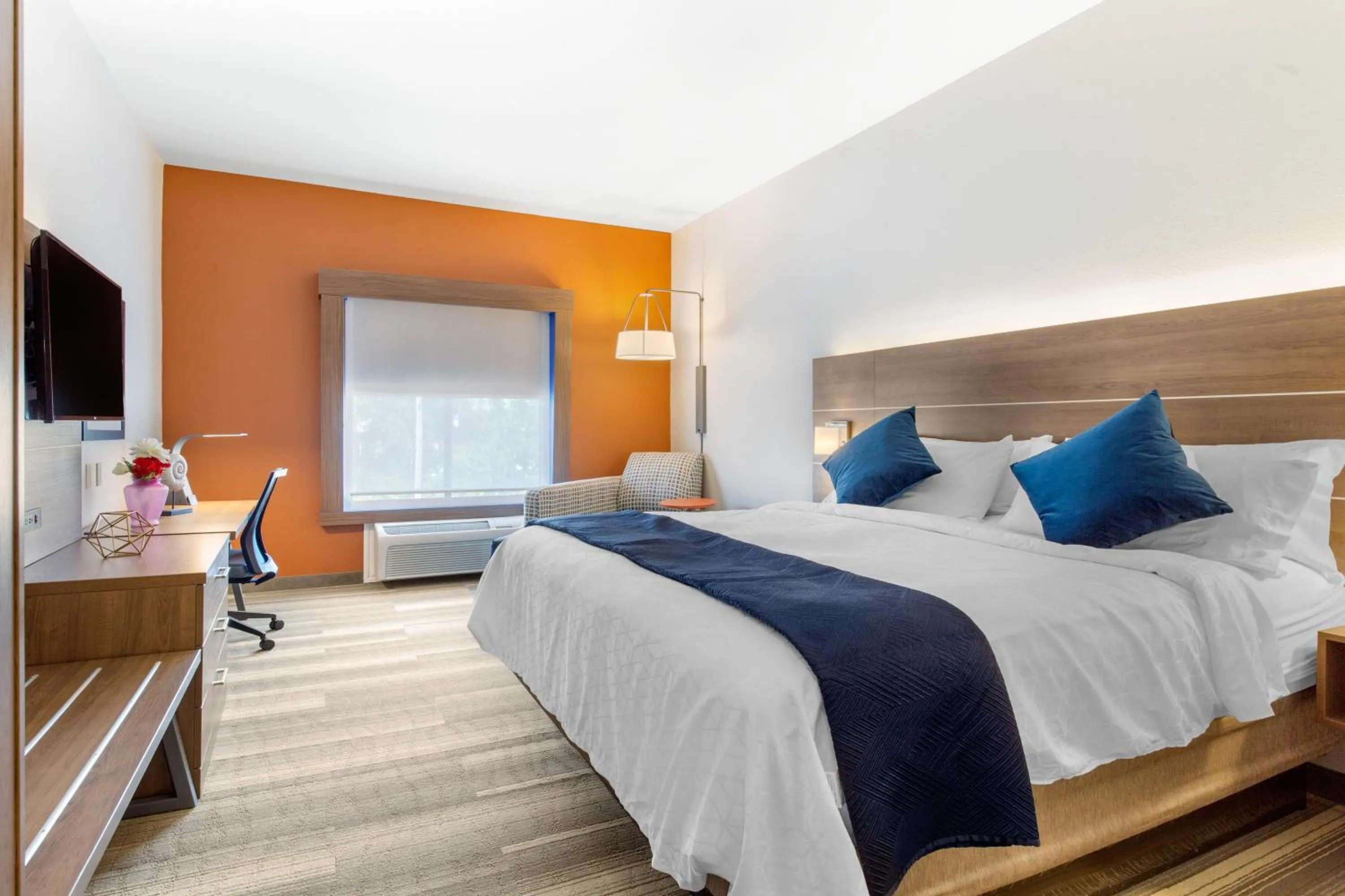 TV and multimedia, Bed in Holiday Inn Express Houston-Alvin by IHG