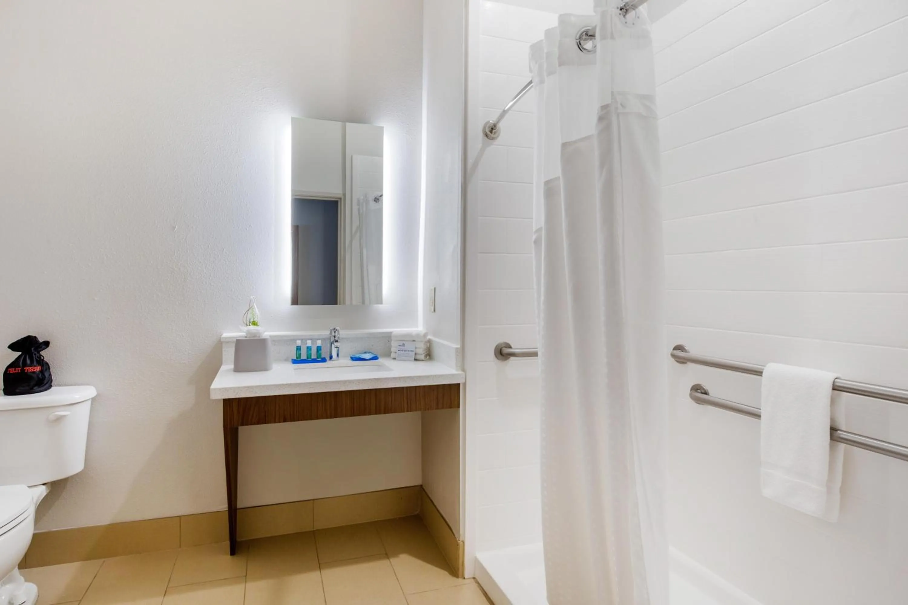 Bathroom in Holiday Inn Express Houston-Alvin by IHG