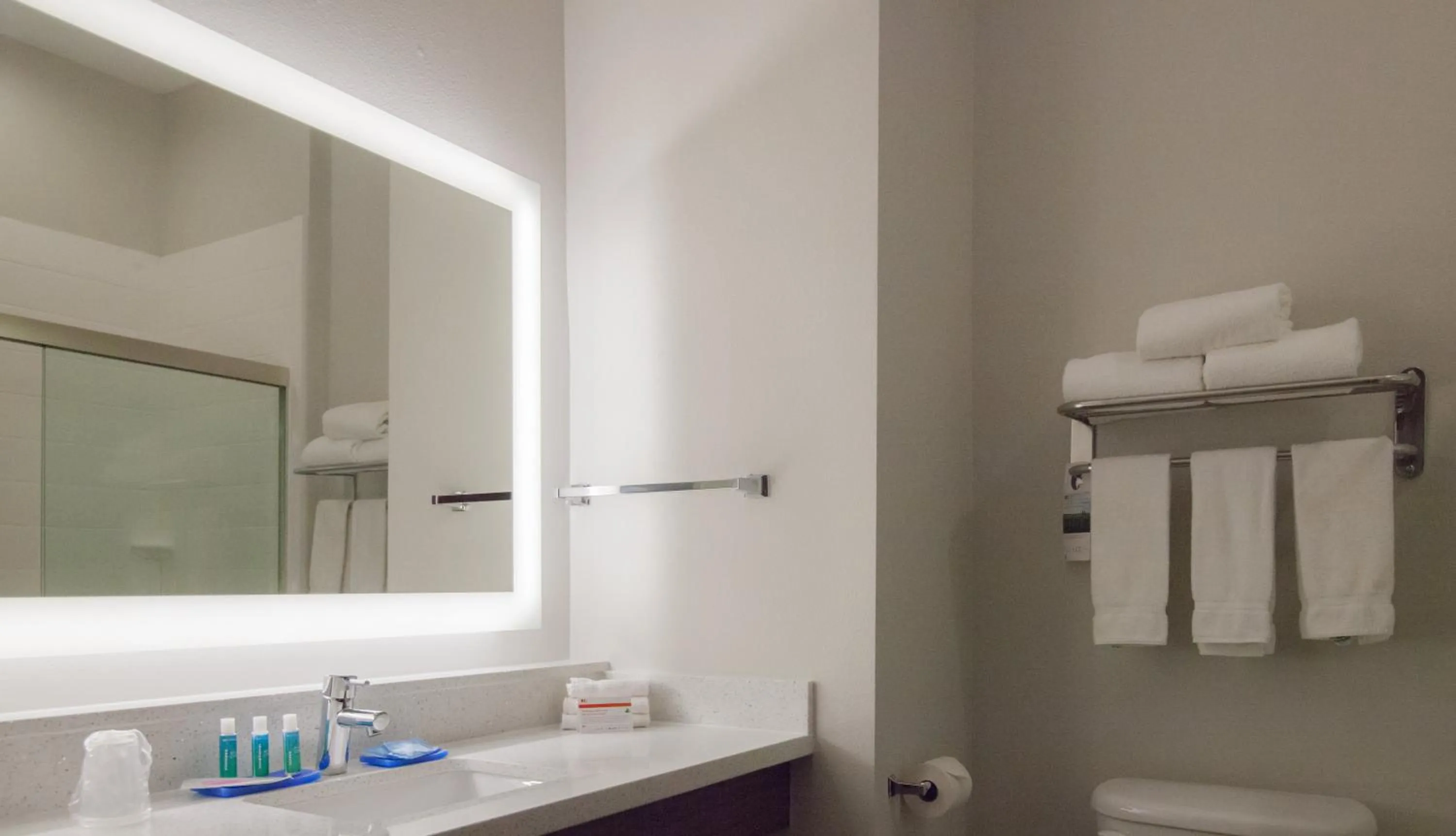 Bathroom in Holiday Inn Express Houston-Alvin by IHG