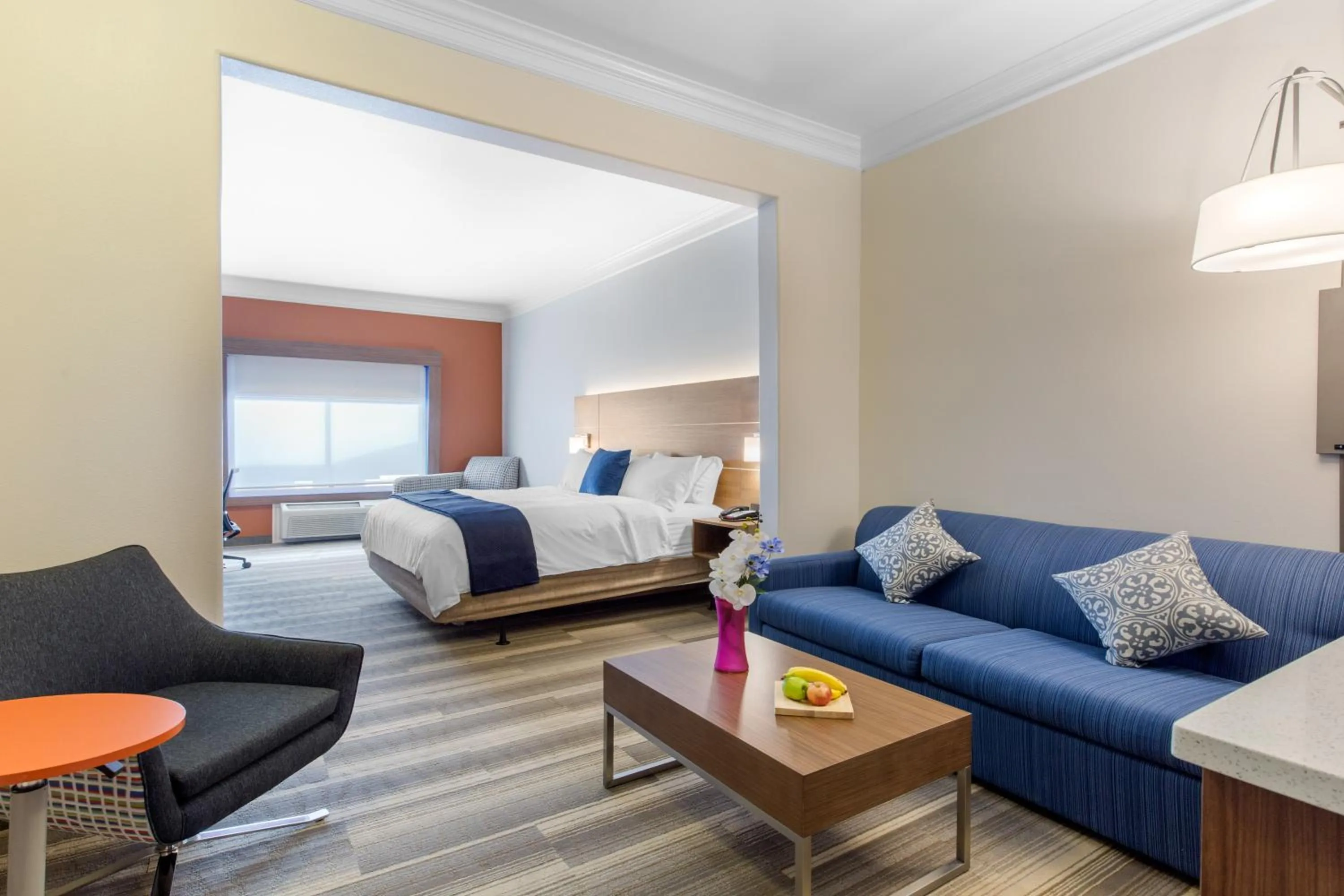 TV and multimedia, Bed in Holiday Inn Express Houston-Alvin by IHG