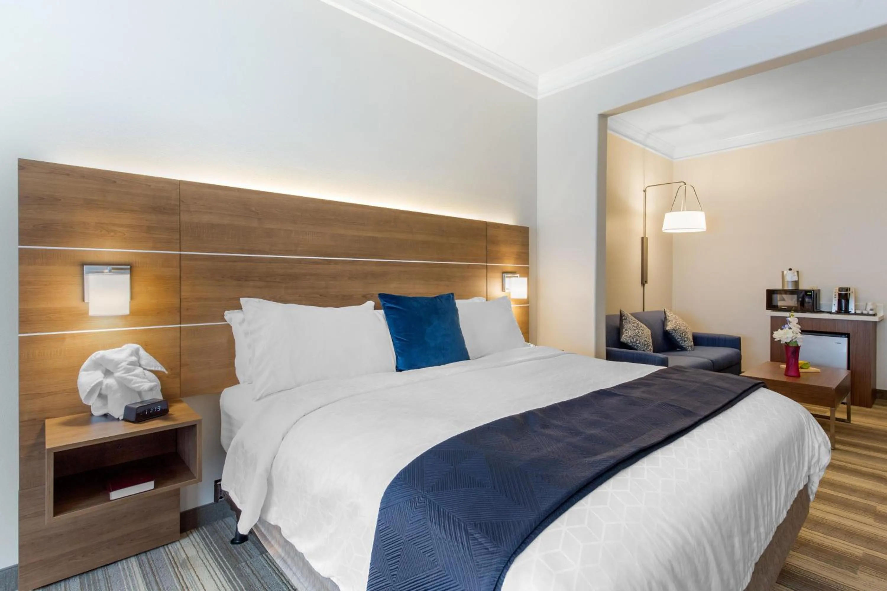 Photo of the whole room, Bed in Holiday Inn Express Houston-Alvin by IHG