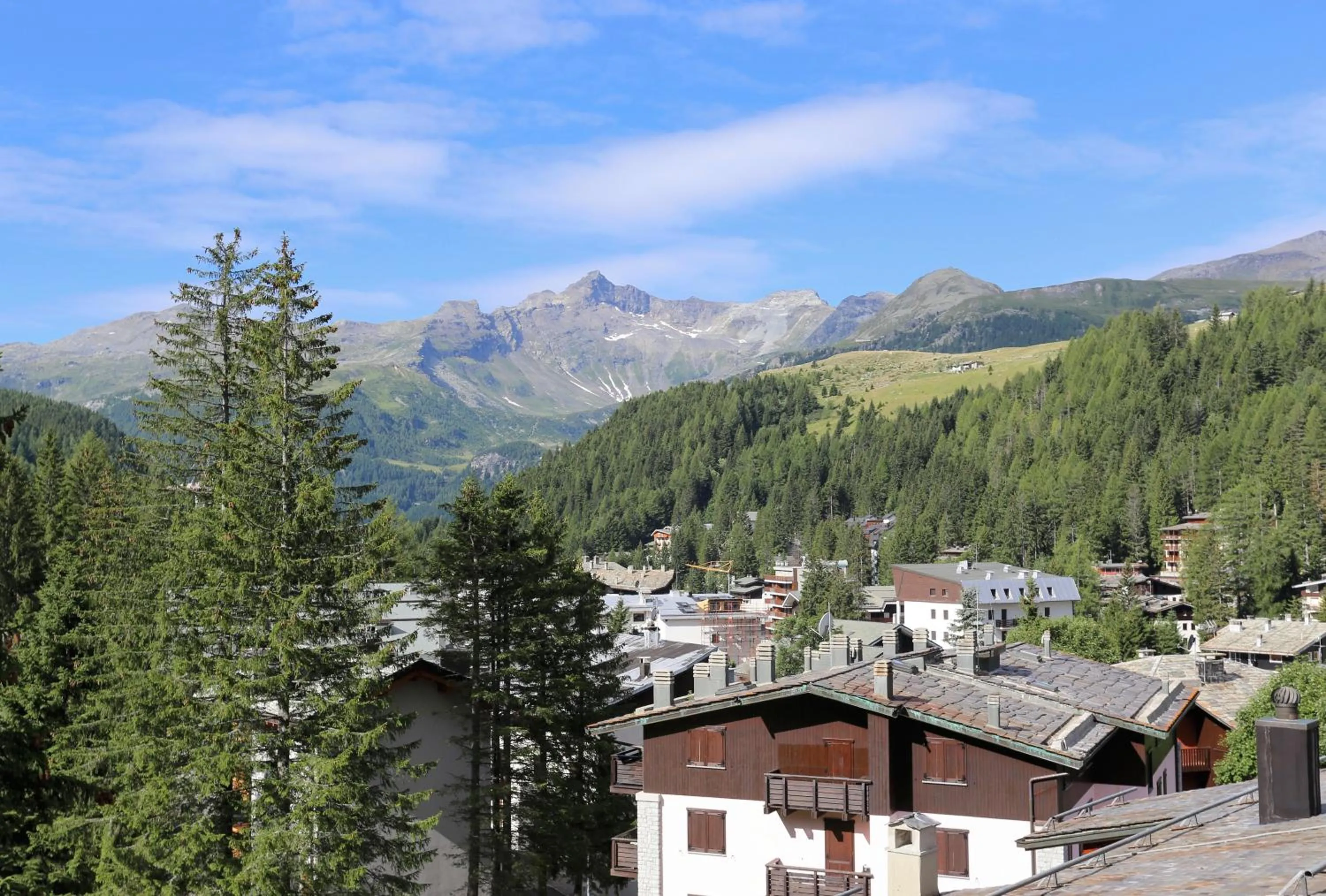 Day in Residence Primula