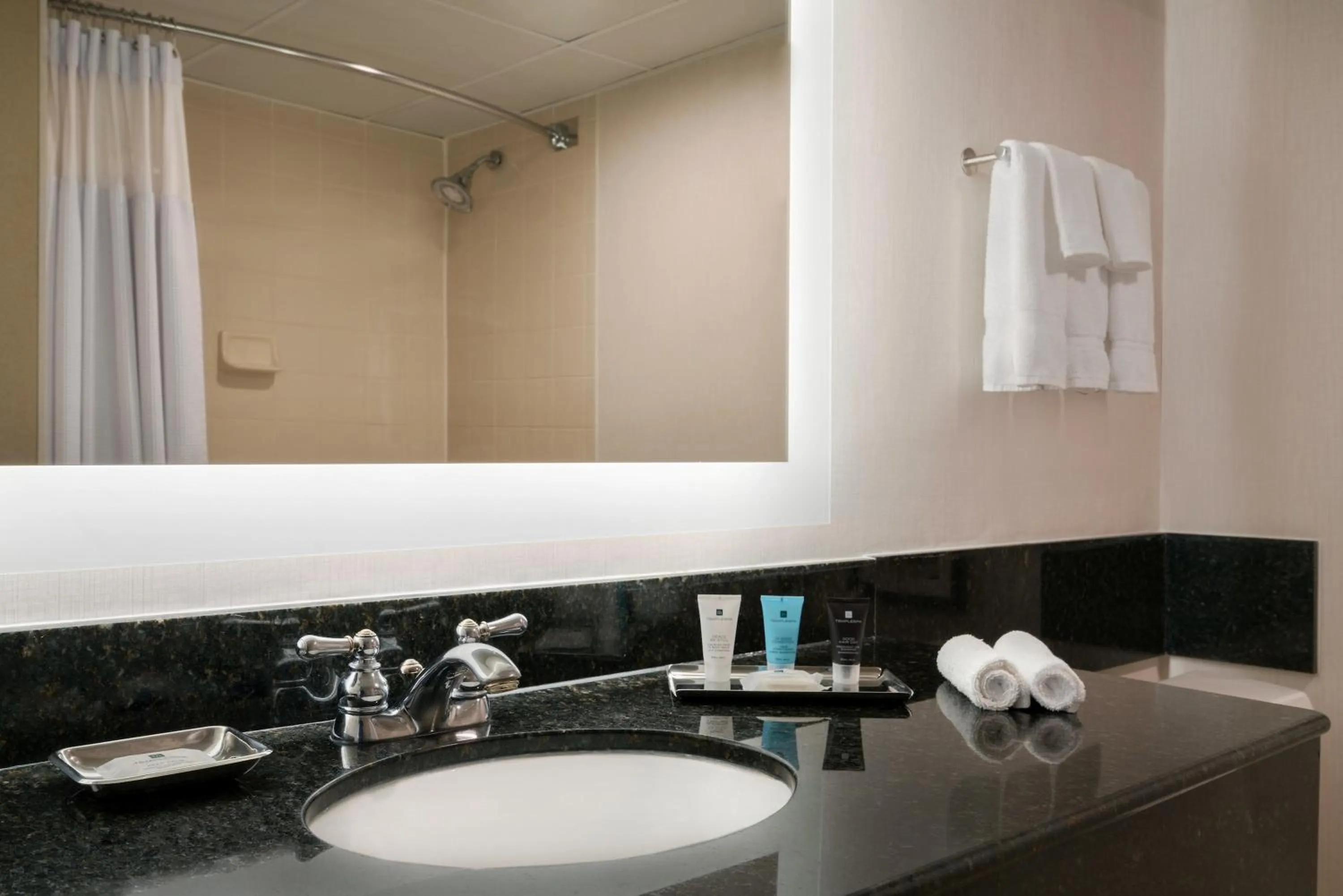 Bathroom in Crowne Plaza Englewood by IHG