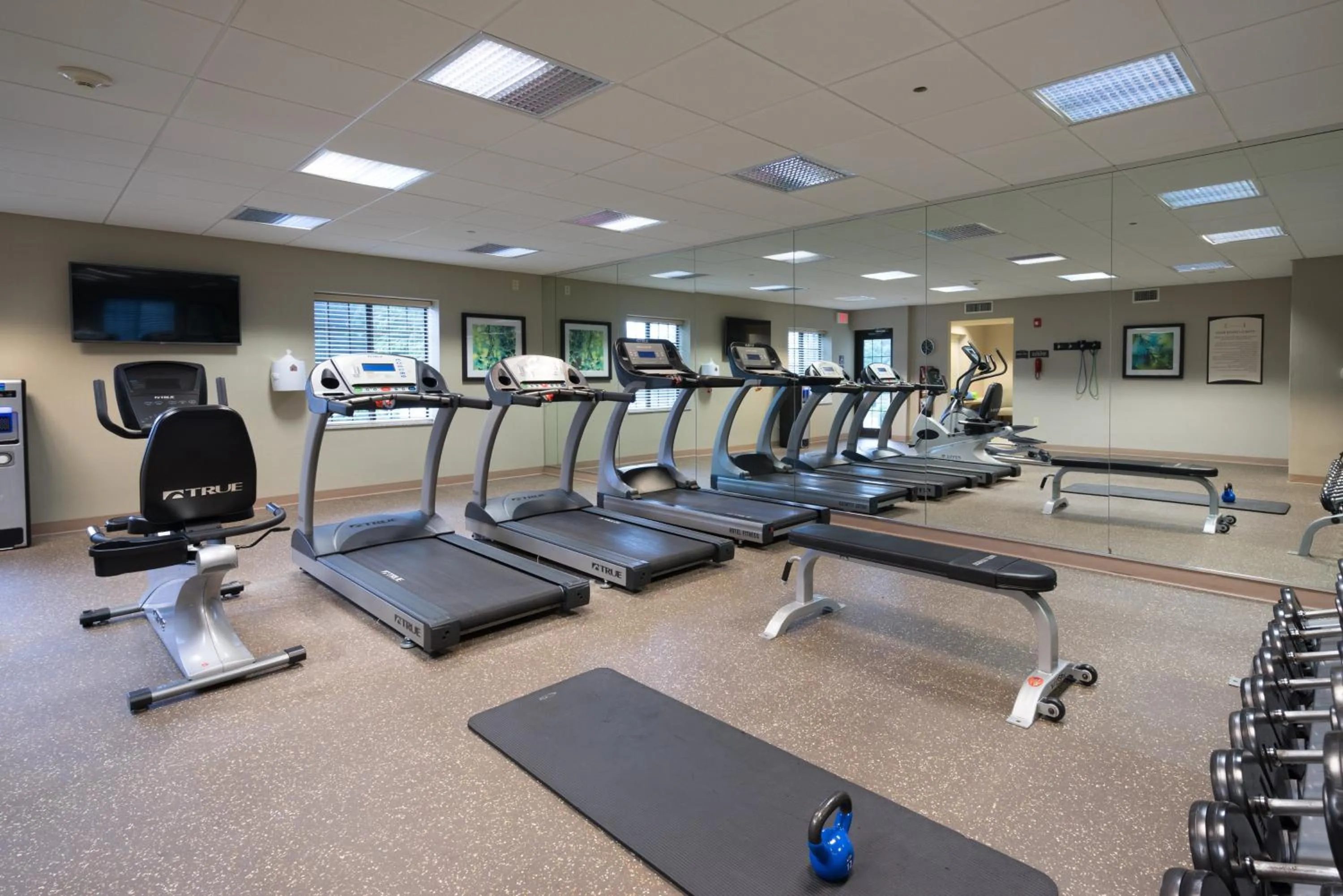 Fitness centre/facilities in Staybridge Suites Wilmington - Brandywine Valley by IHG