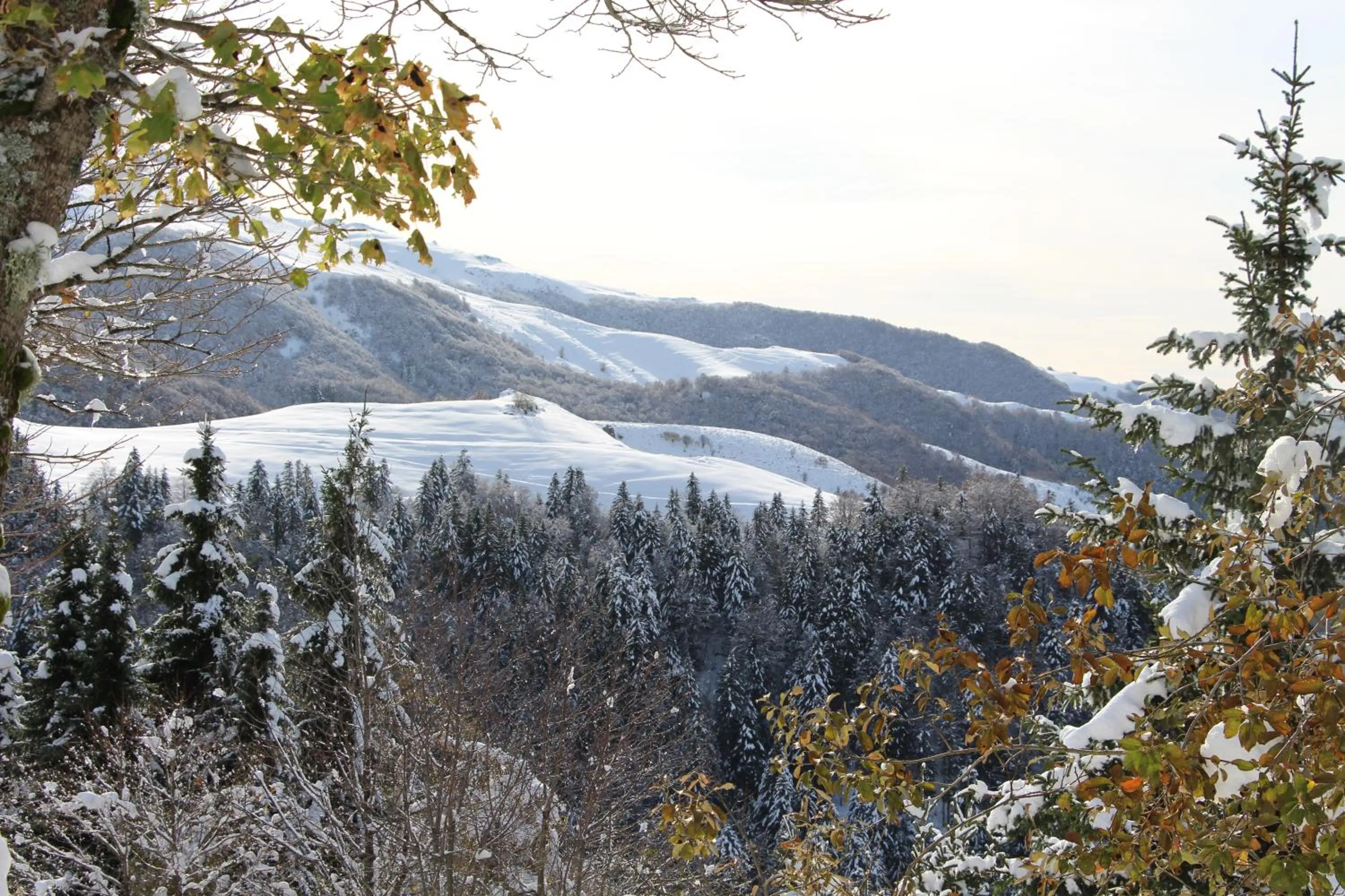 Nearby landmark in VVF Le Lioran Les Monts du Cantal