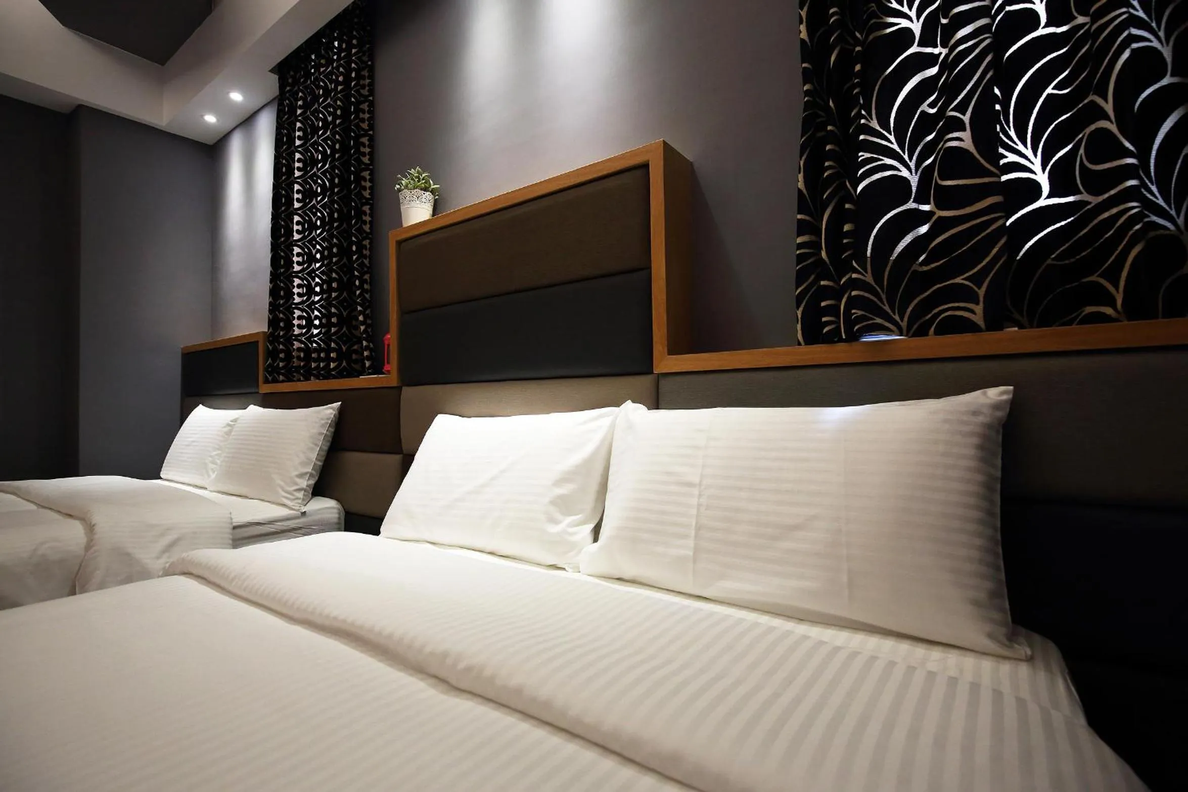 bunk bed, Bed in Buckingham Palace B&B