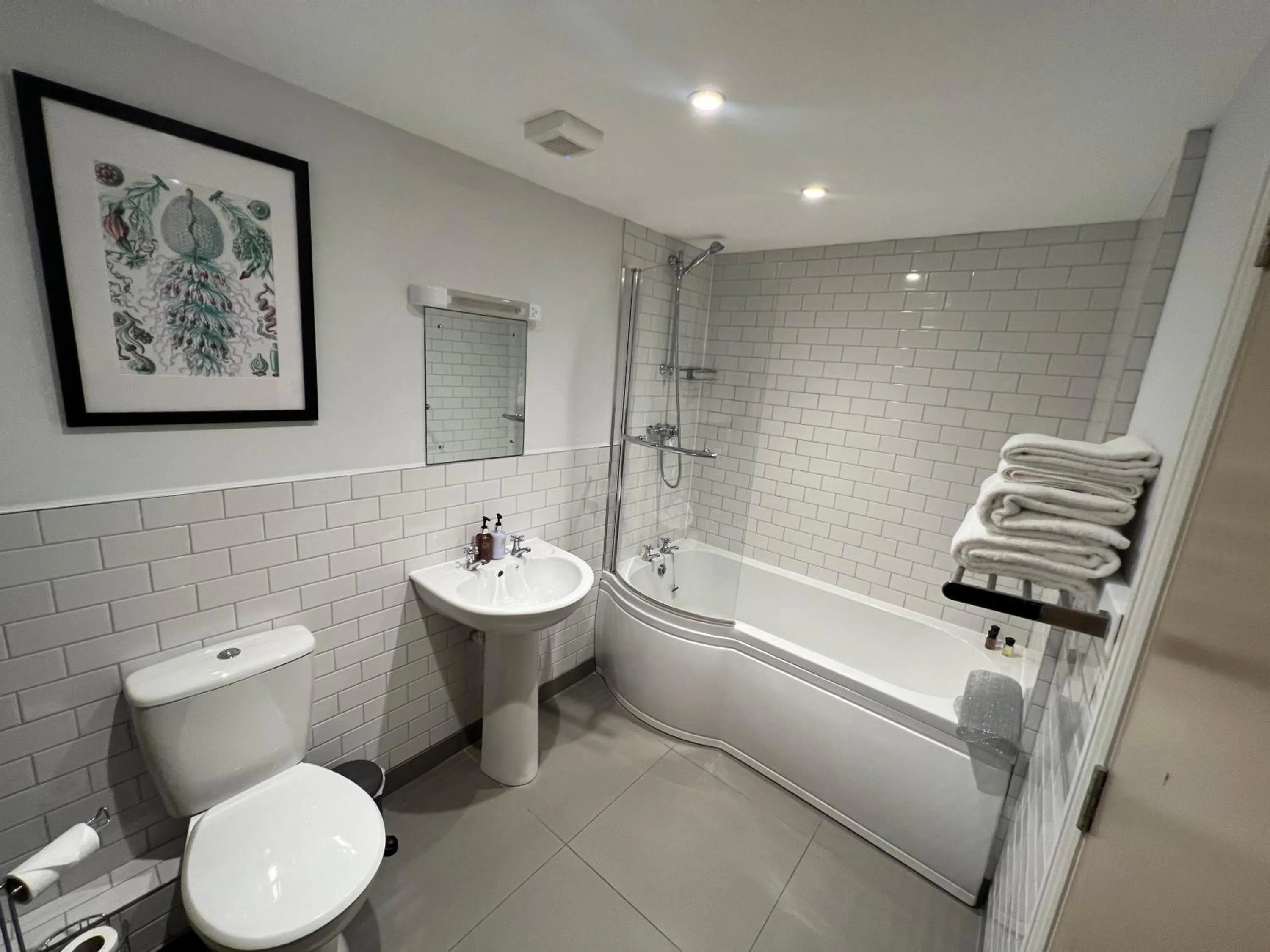 Bathroom in White Horse