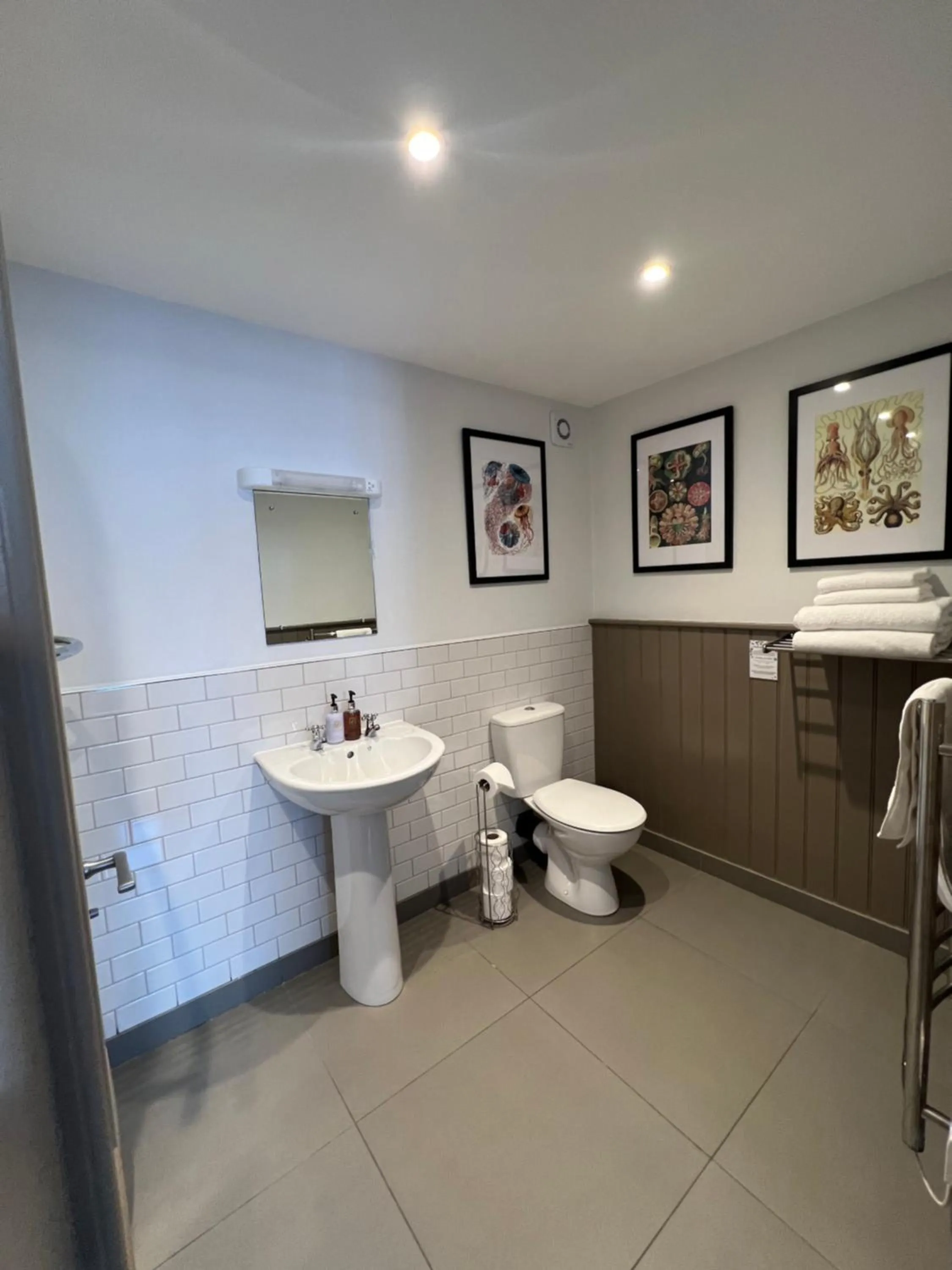 Bathroom in White Horse