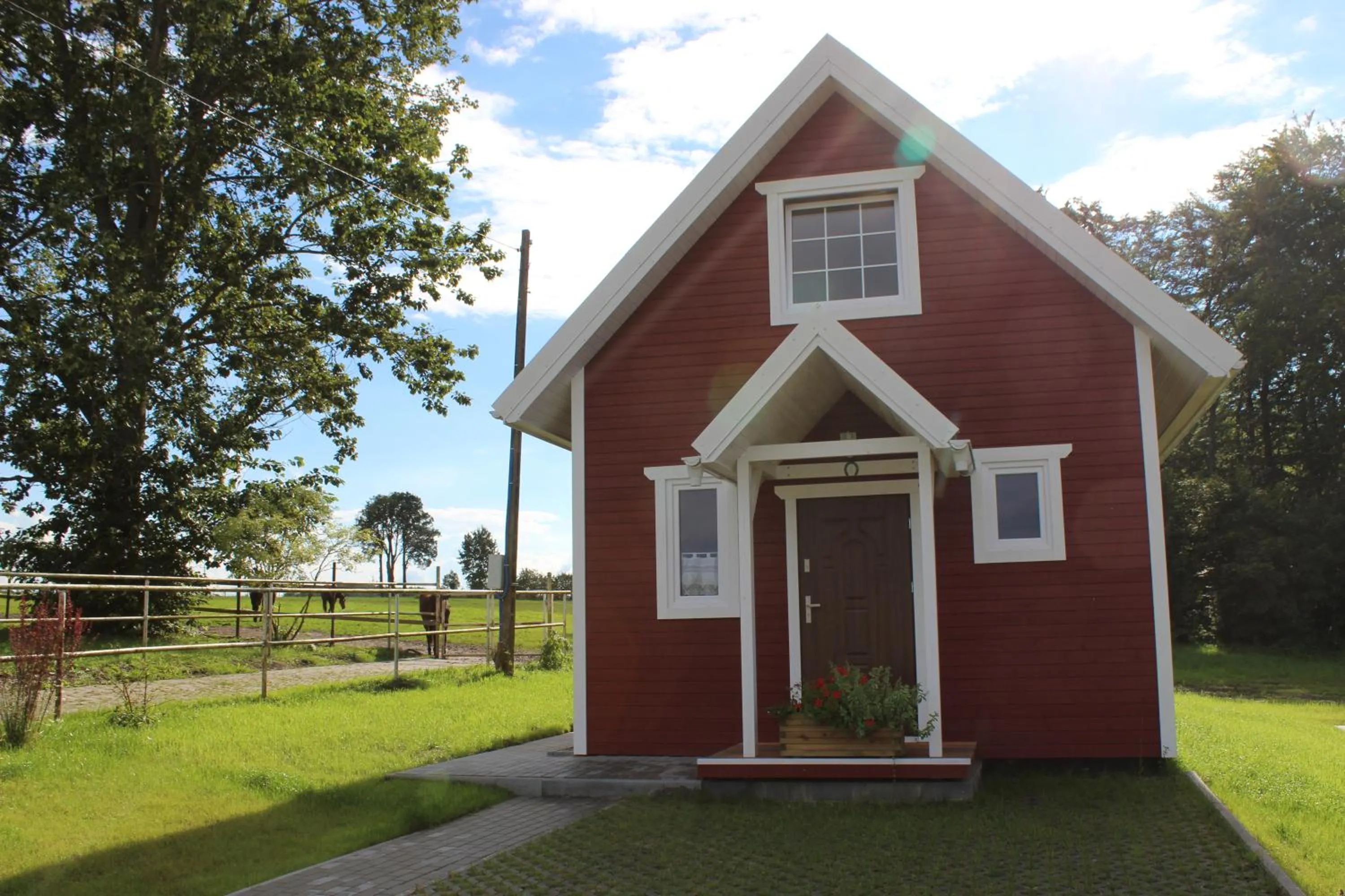 Animals in Agroturystyka - Stajnia Bursztynowa