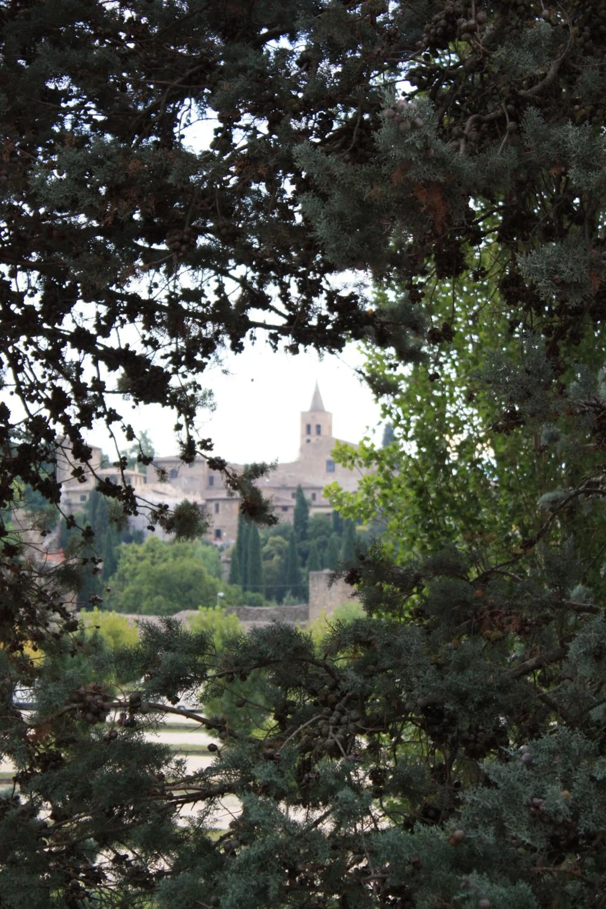 City view in Residenza Porta Guelfa
