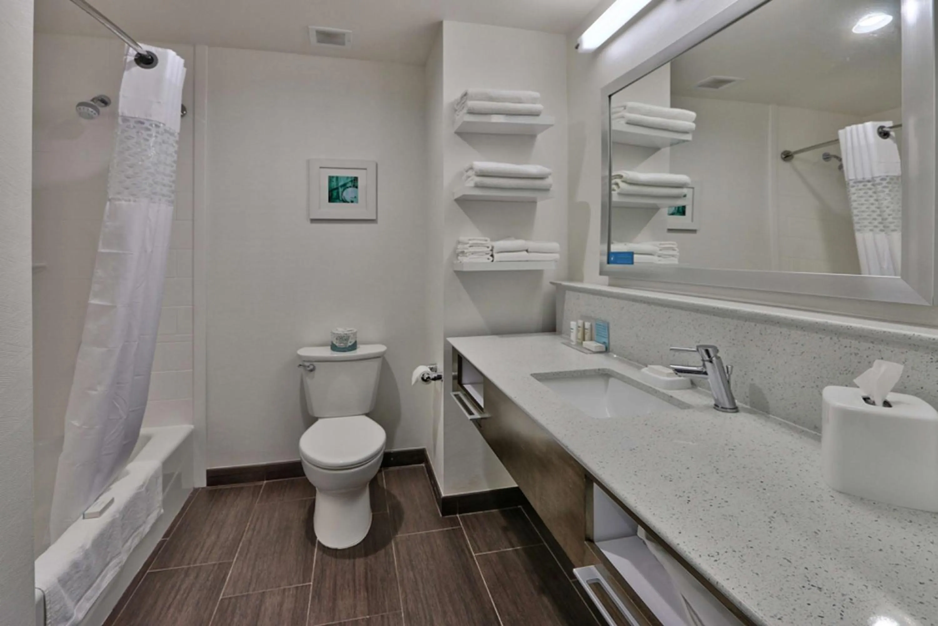 Bathroom in Hampton Inn & Suites Guthrie, OK