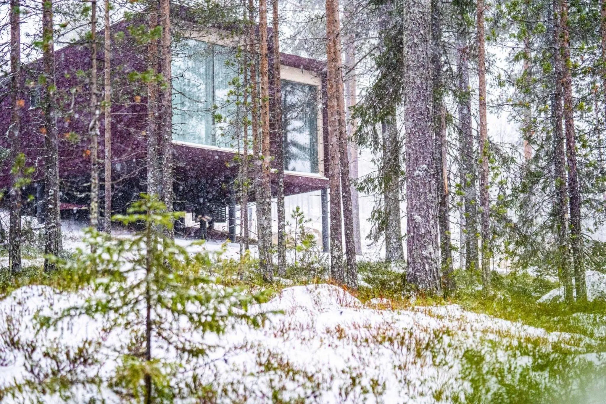 Property building in Arctic TreeHouse Hotel