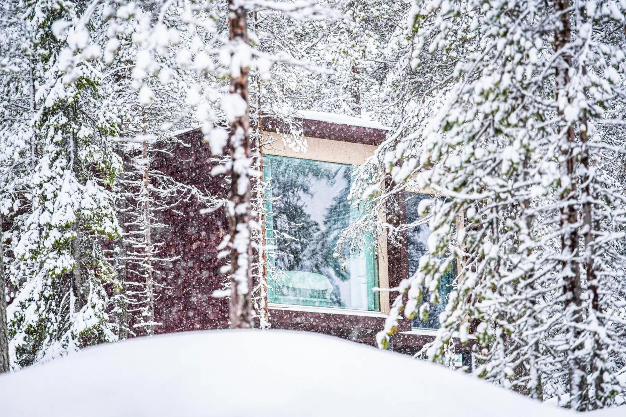 Property building in Arctic TreeHouse Hotel