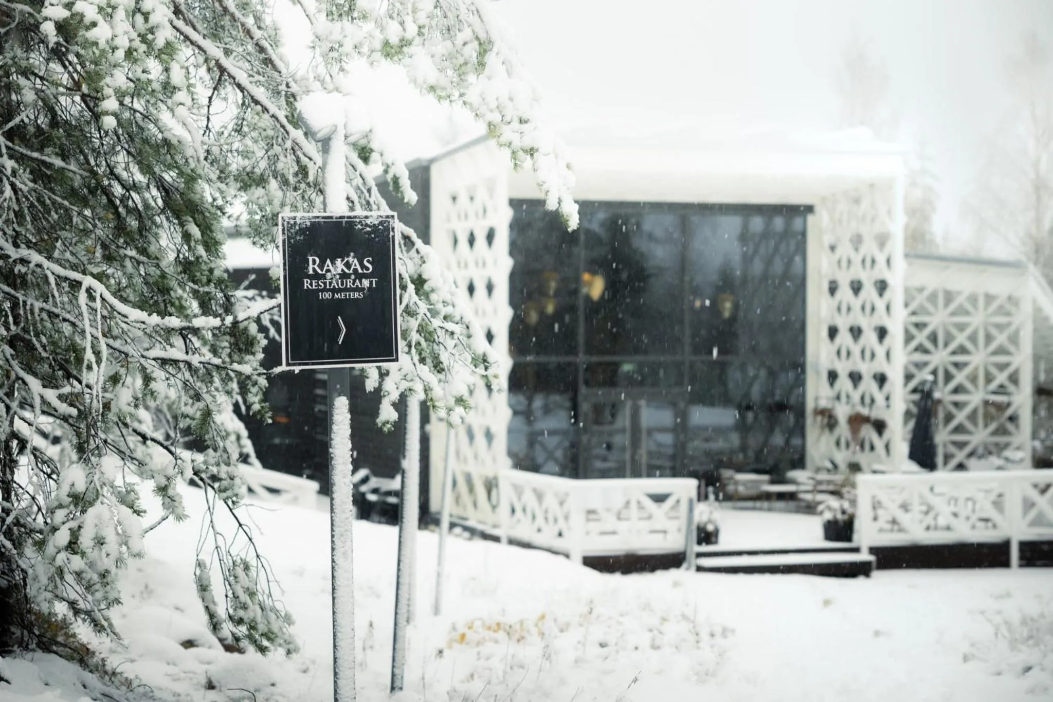 Restaurant/places to eat in Arctic TreeHouse Hotel