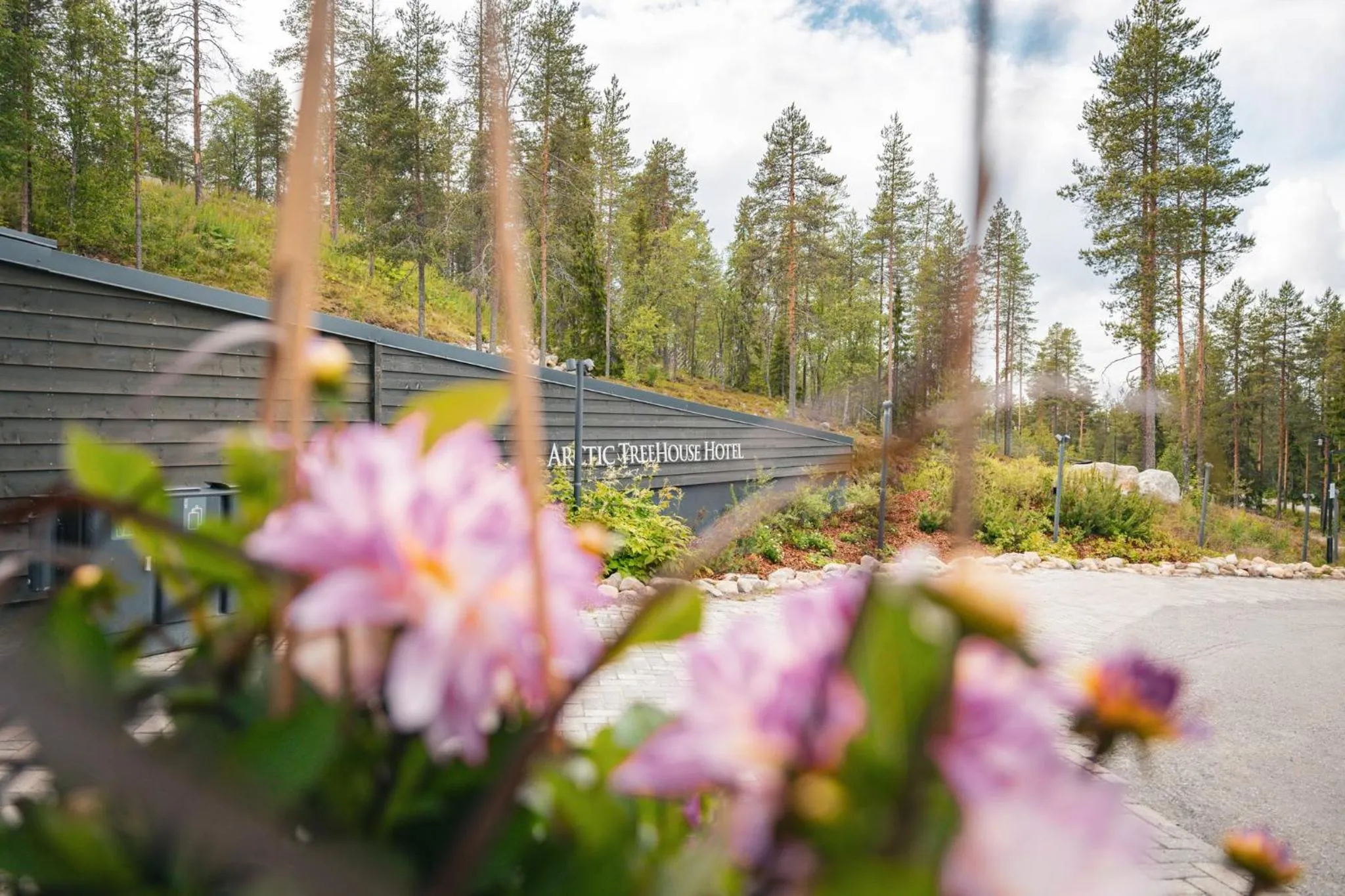 Property building in Arctic TreeHouse Hotel