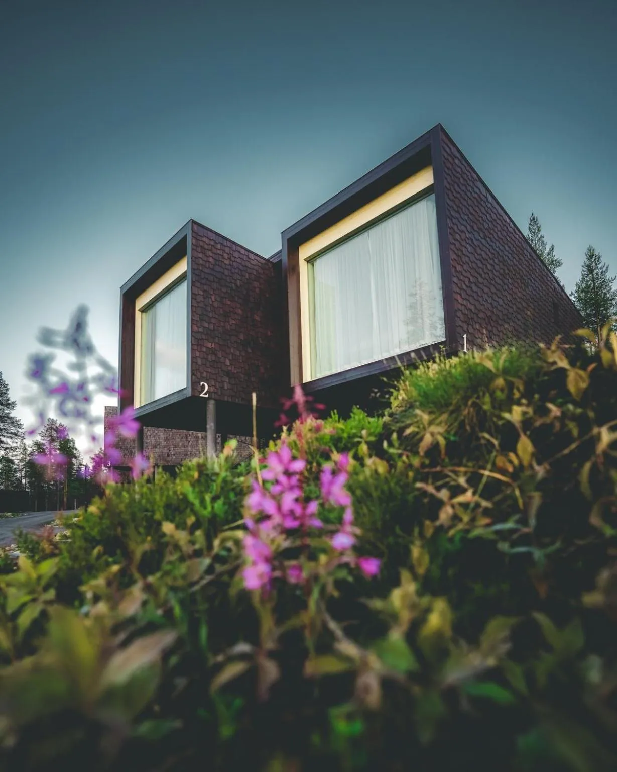 Property building in Arctic TreeHouse Hotel