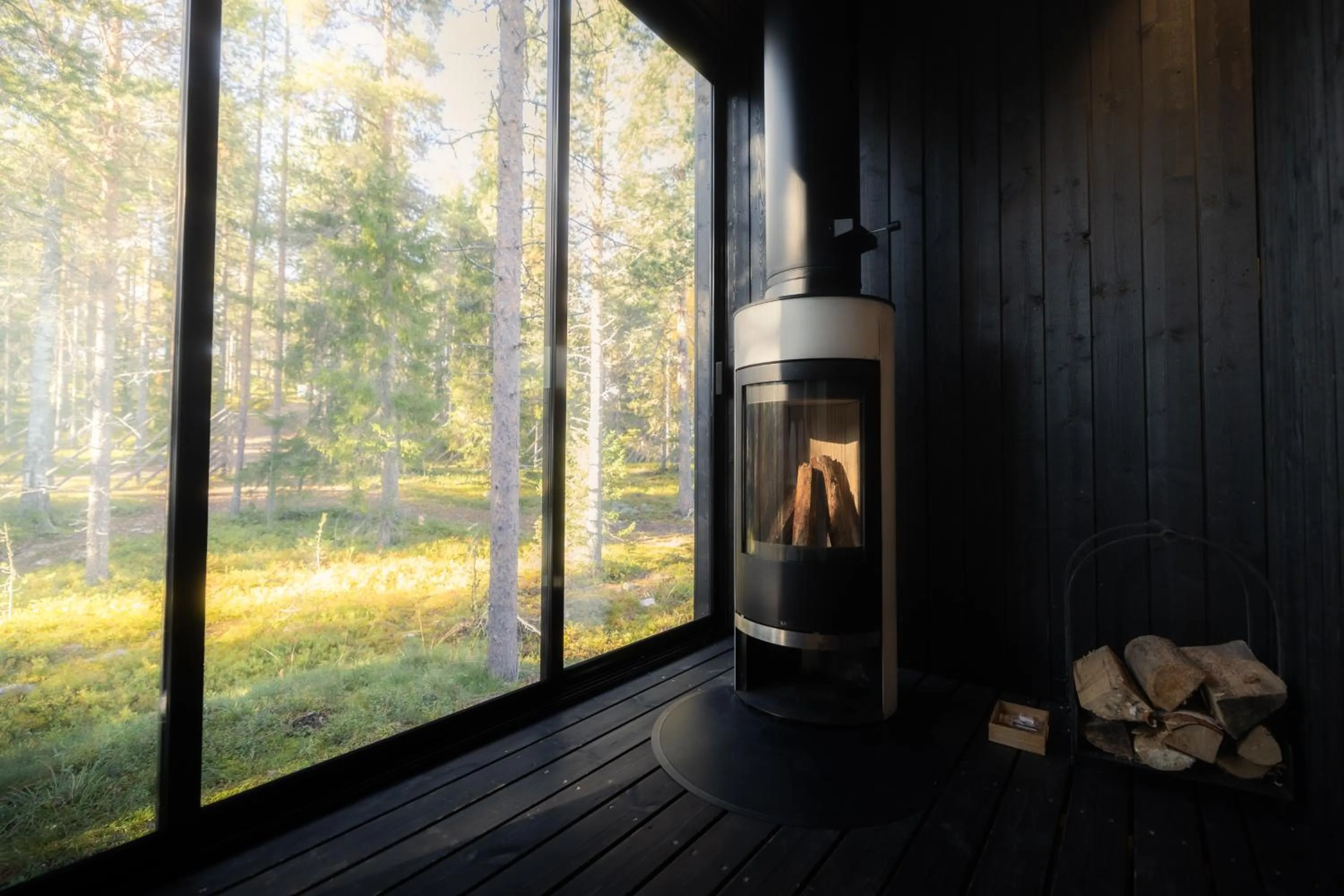 Day in Arctic TreeHouse Hotel