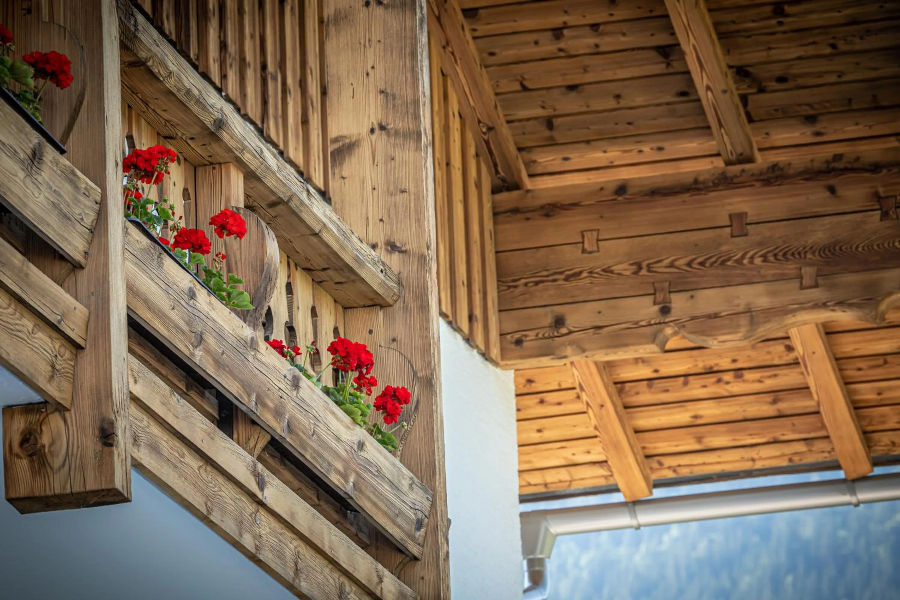 Balcony/Terrace in Home-Hotel Salzberg