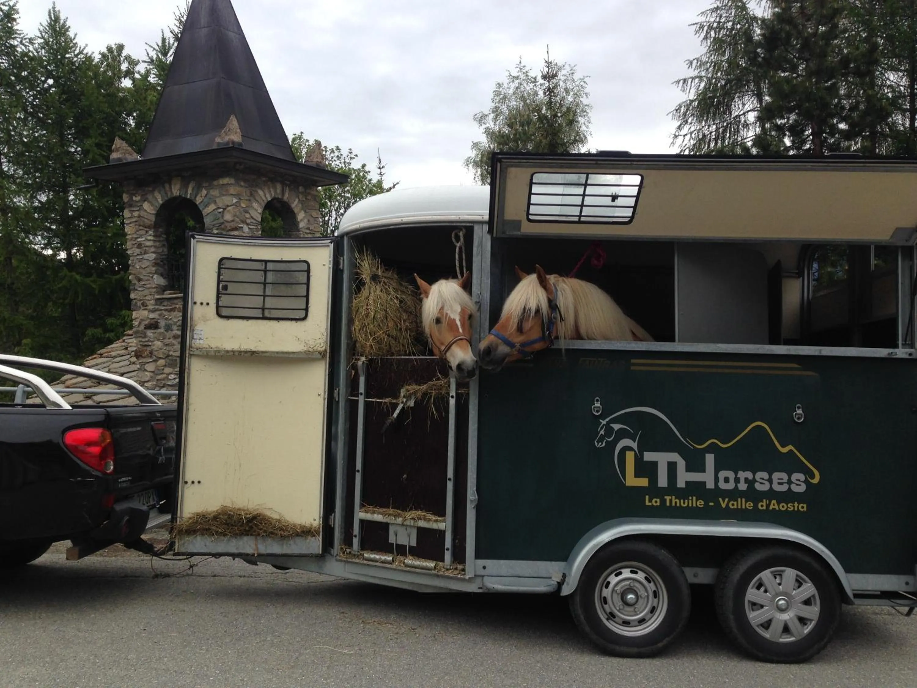 Activities in LTHorses & Dreams