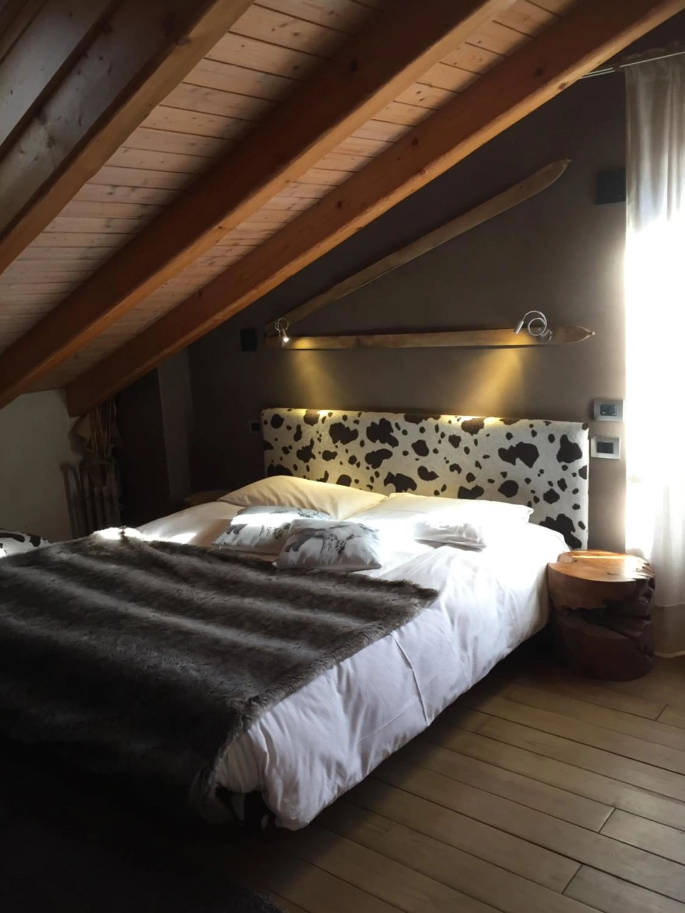 Bed in LTHorses & Dreams