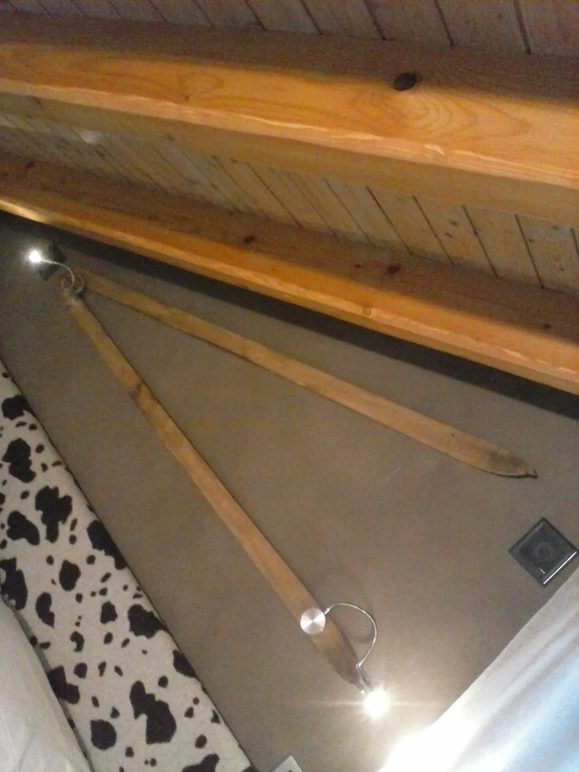 Decorative detail in LTHorses & Dreams