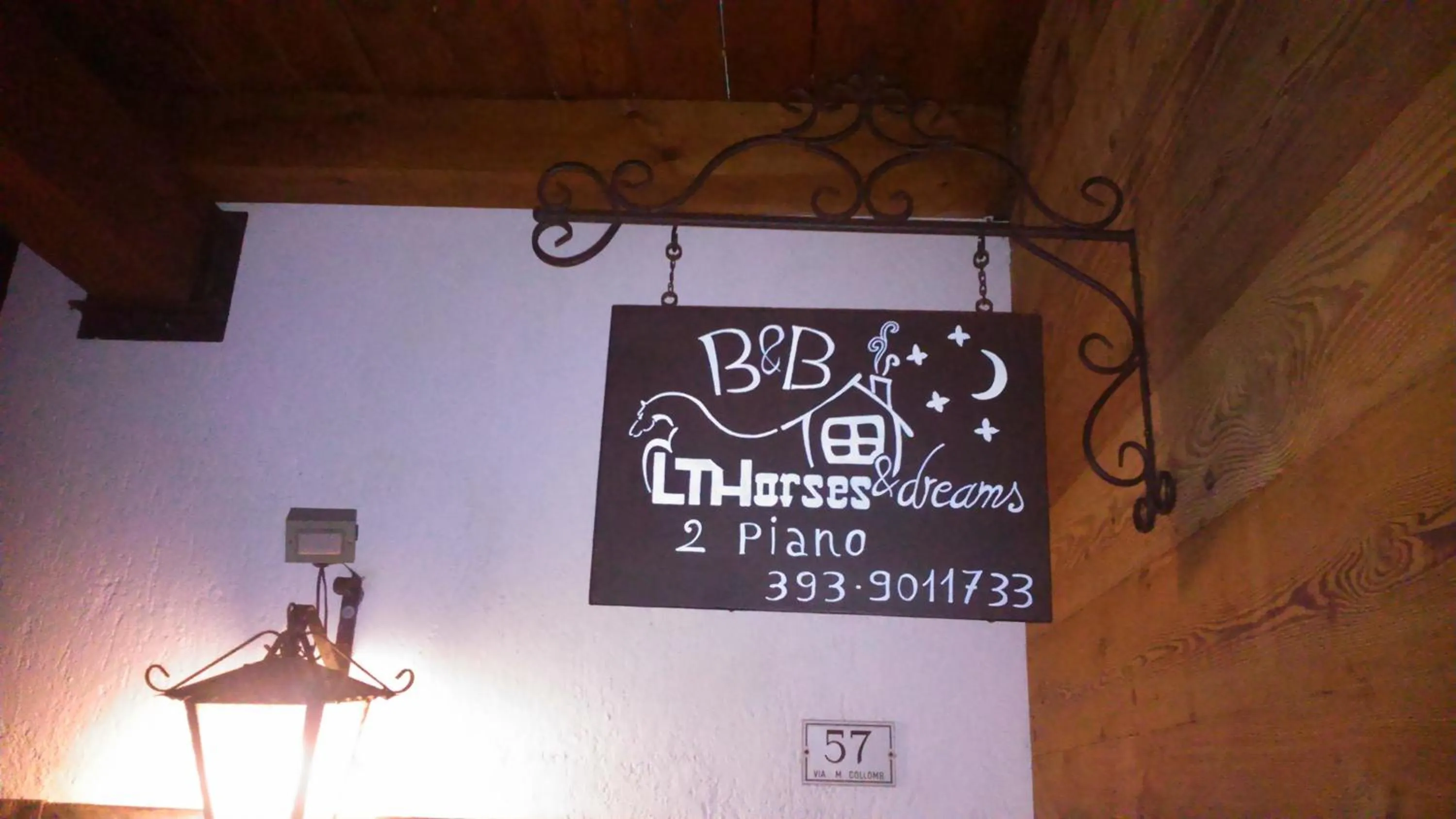 Decorative detail in LTHorses & Dreams