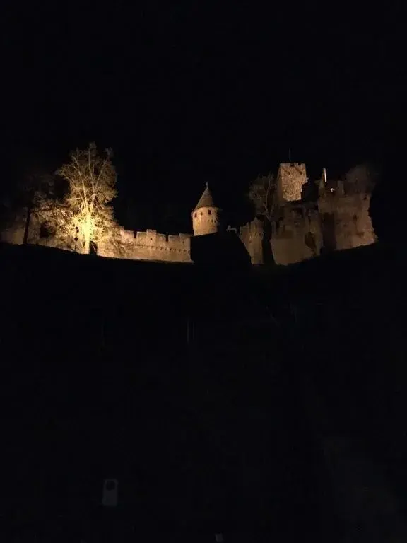 Double Room with Shower - single occupancy in La Flamme Wertheim garni Double Room with Shower - single occupancy in La Flamme Wertheim garni