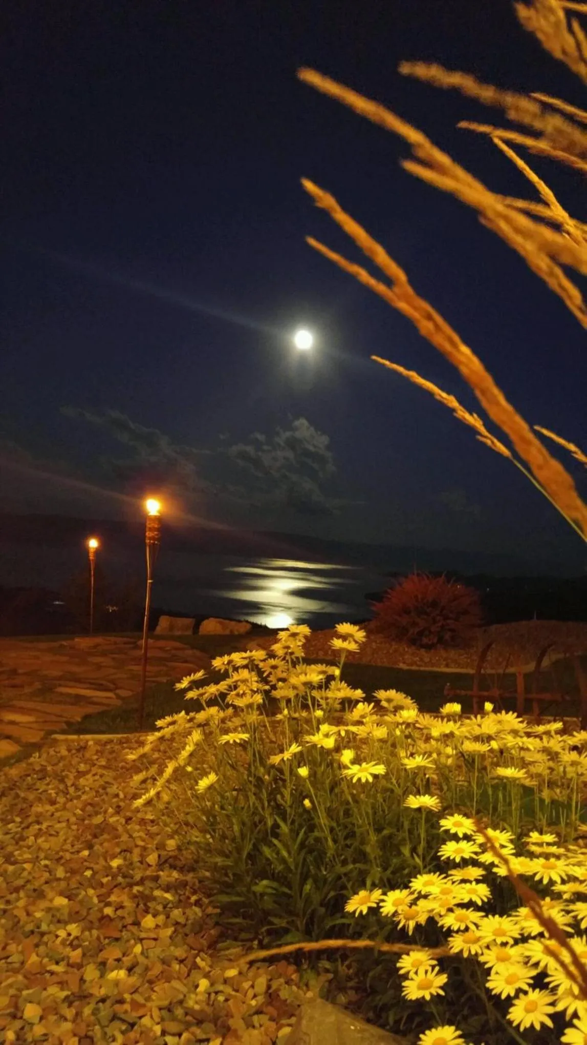 Property building in Coyote Bluff Estate