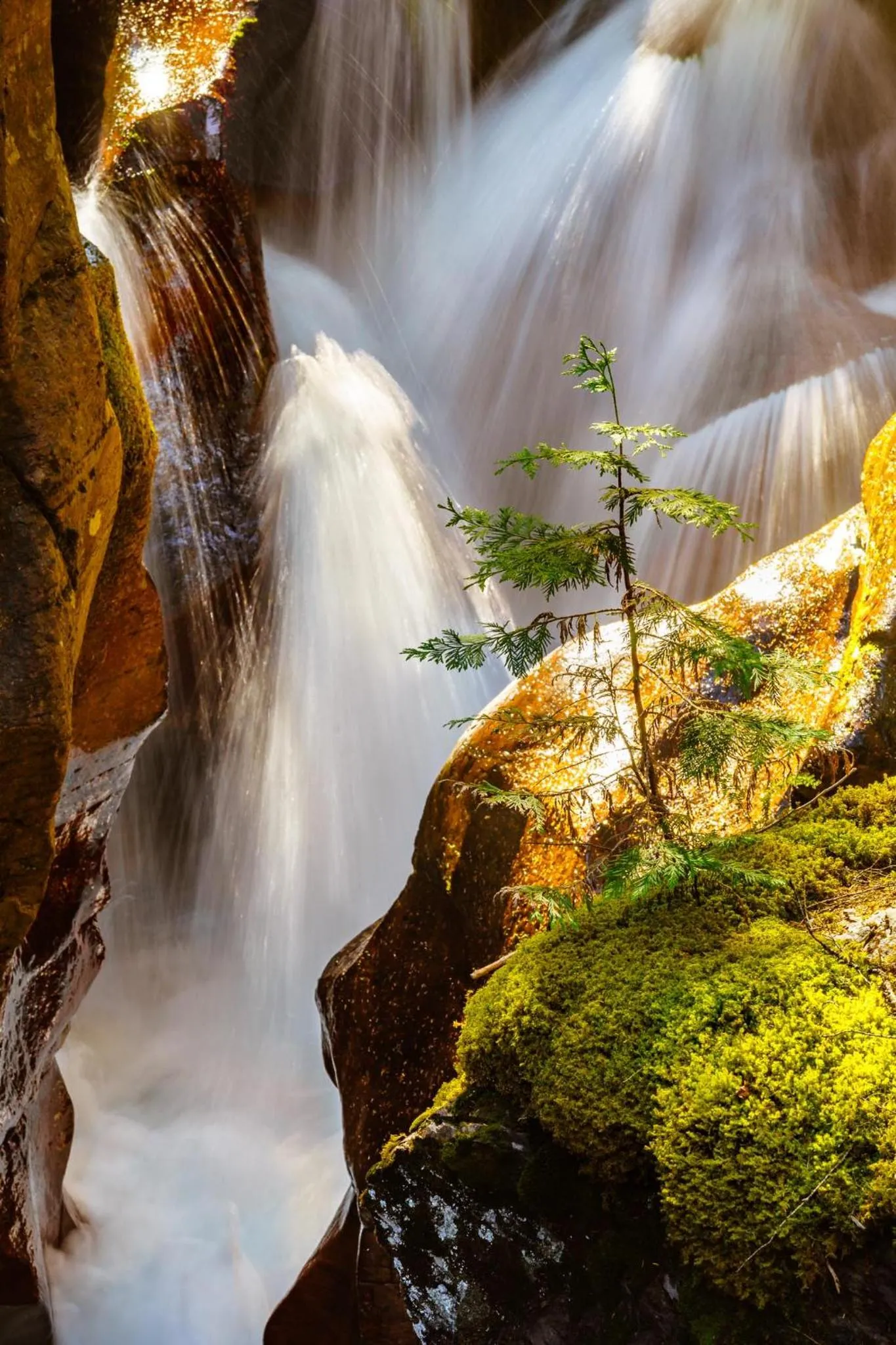 Property building in Coyote Bluff Estate