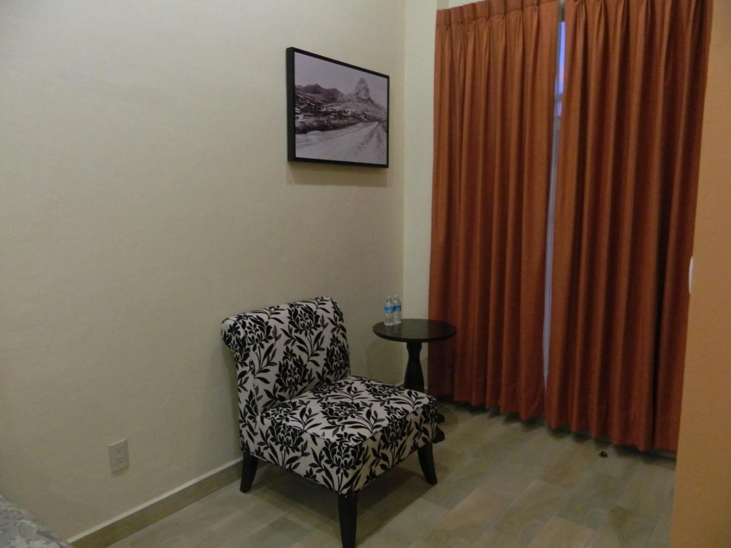 Decorative detail in Hotel Plaza Bernal