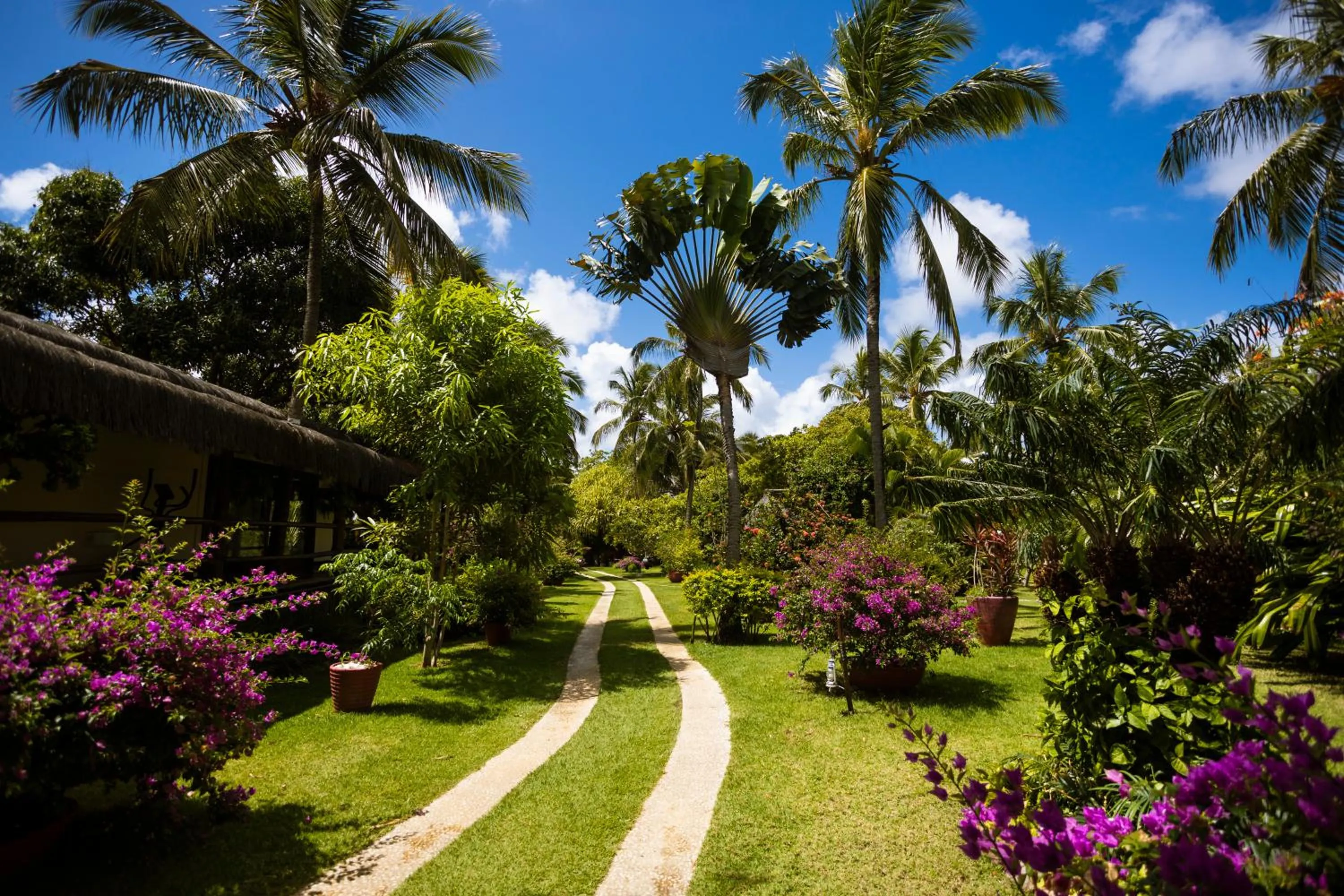 Garden view in Beija Flor Exclusive Hotel & Spa