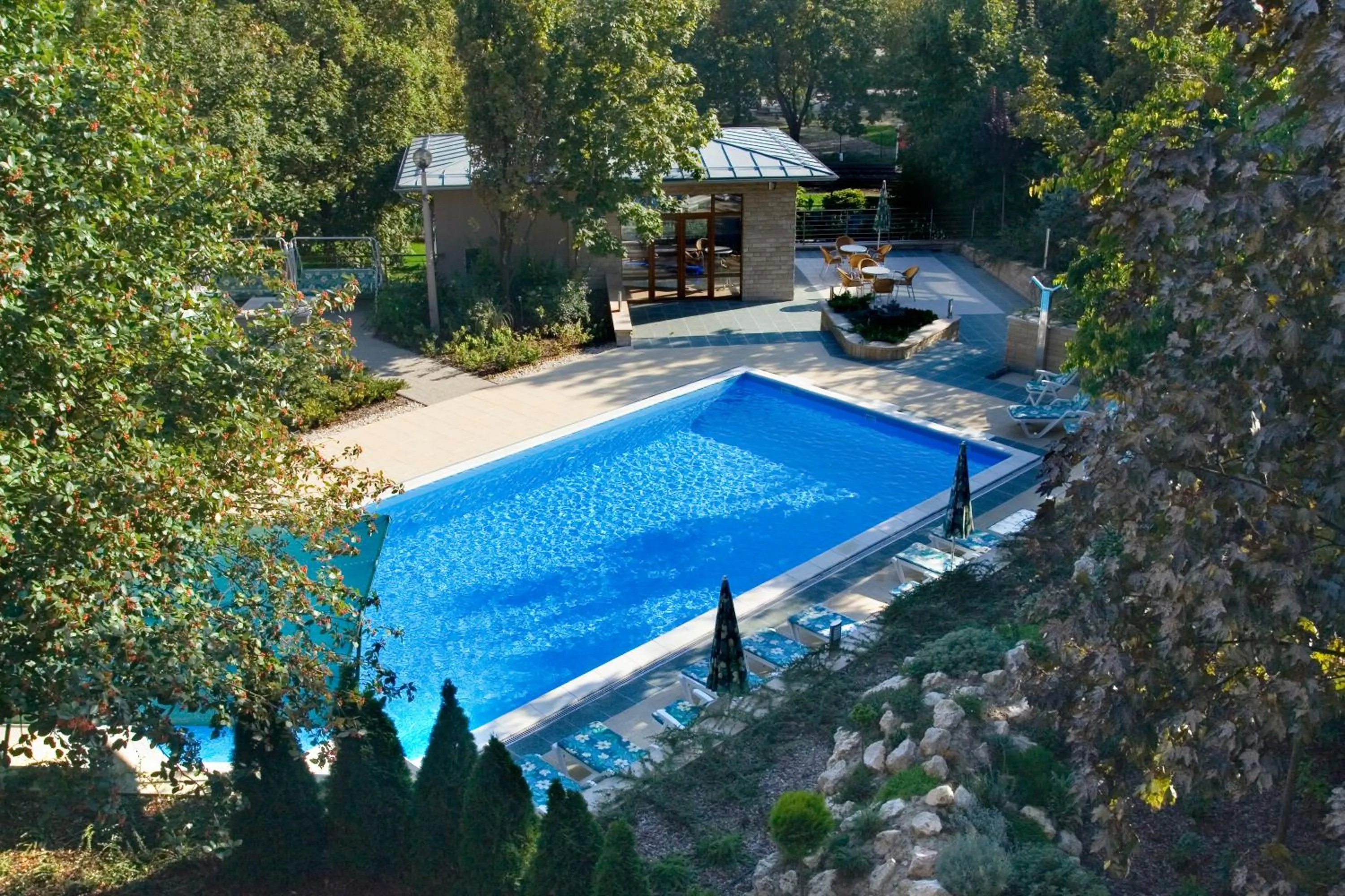 Garden in Hotel Villa Pax