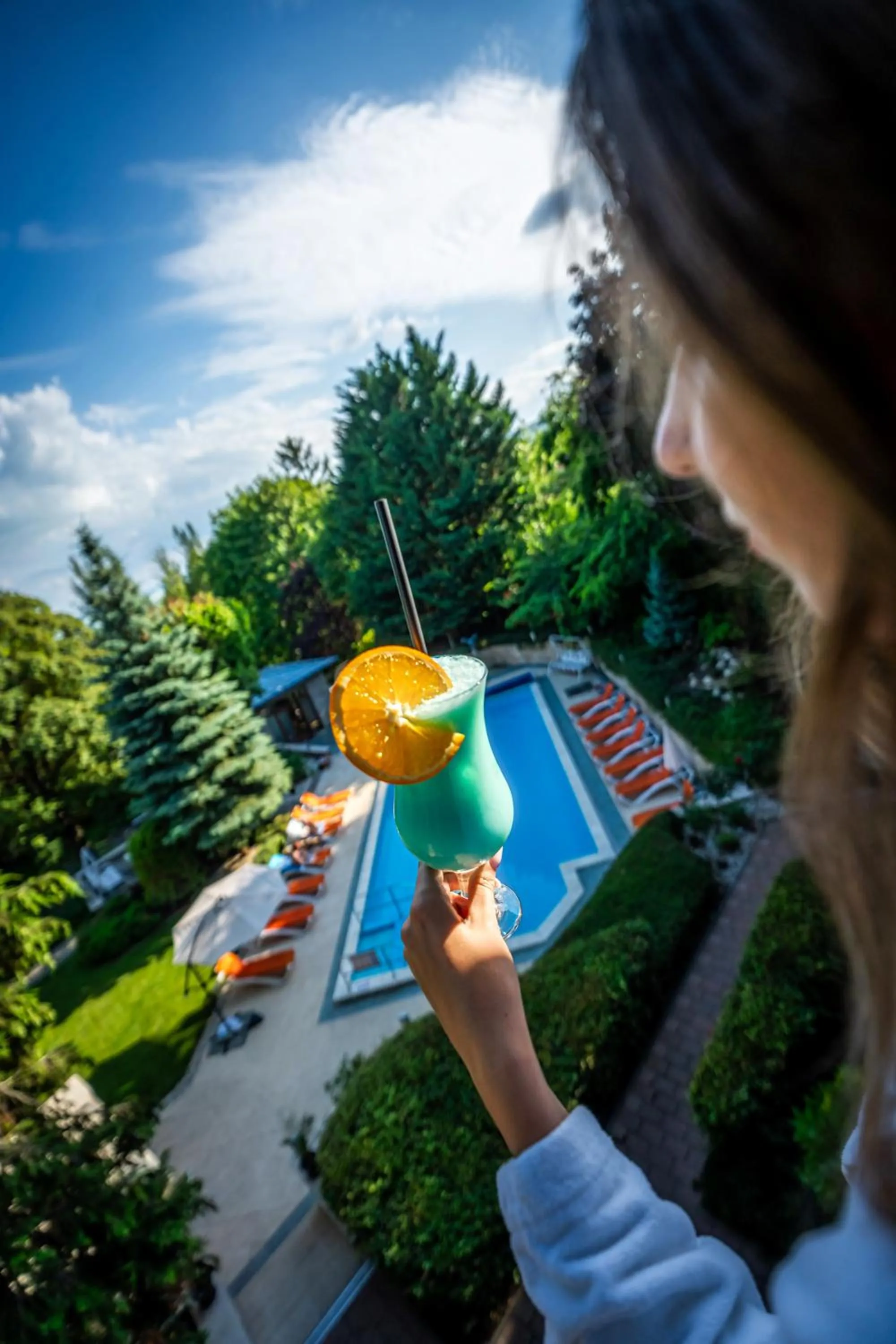 Lounge or bar in Hotel Villa Pax