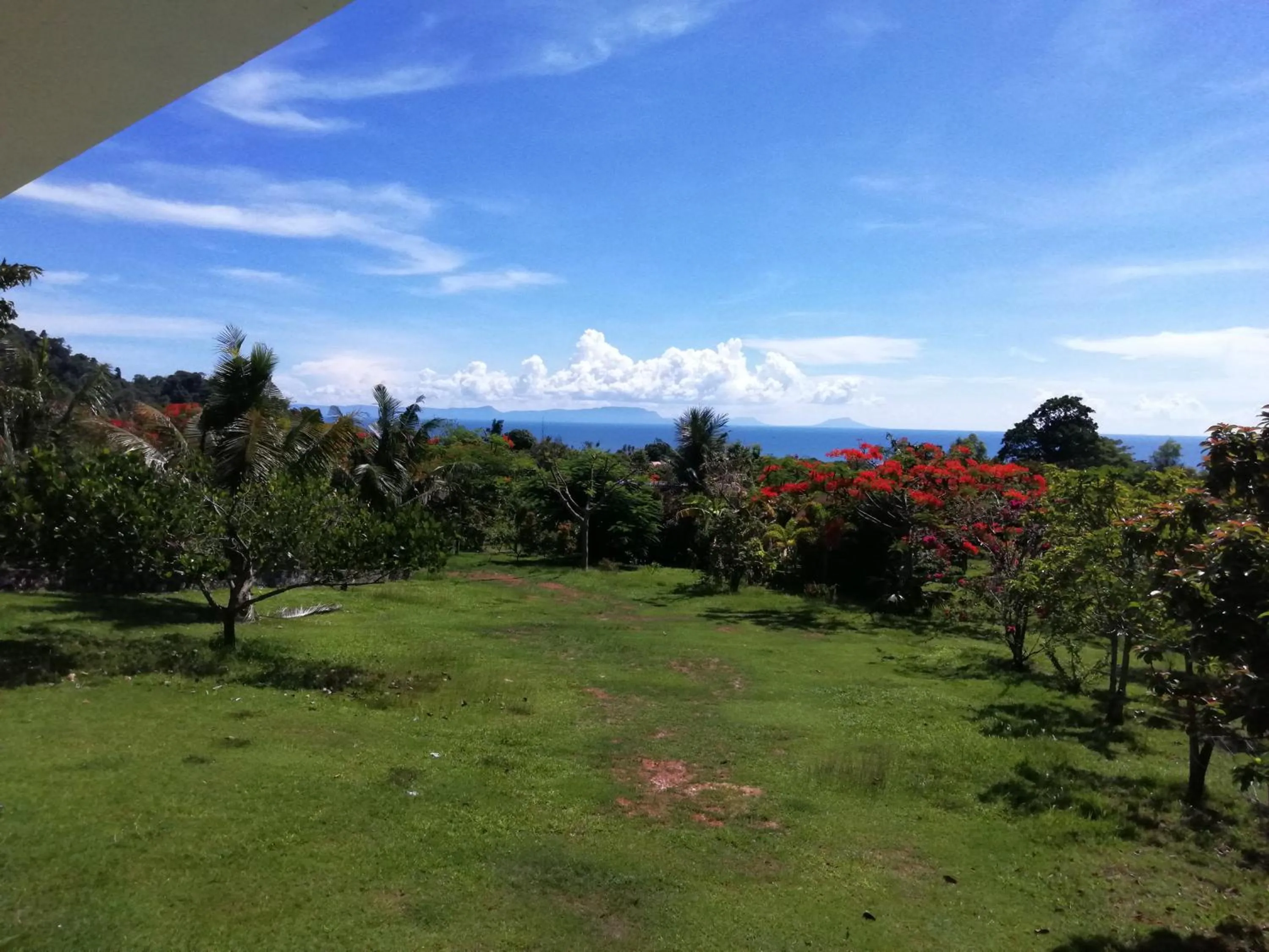 Garden in Q Bungalows