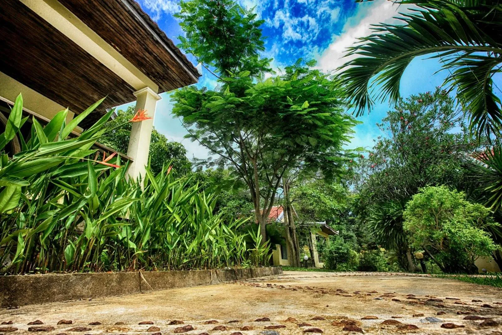 Garden in Q Bungalows